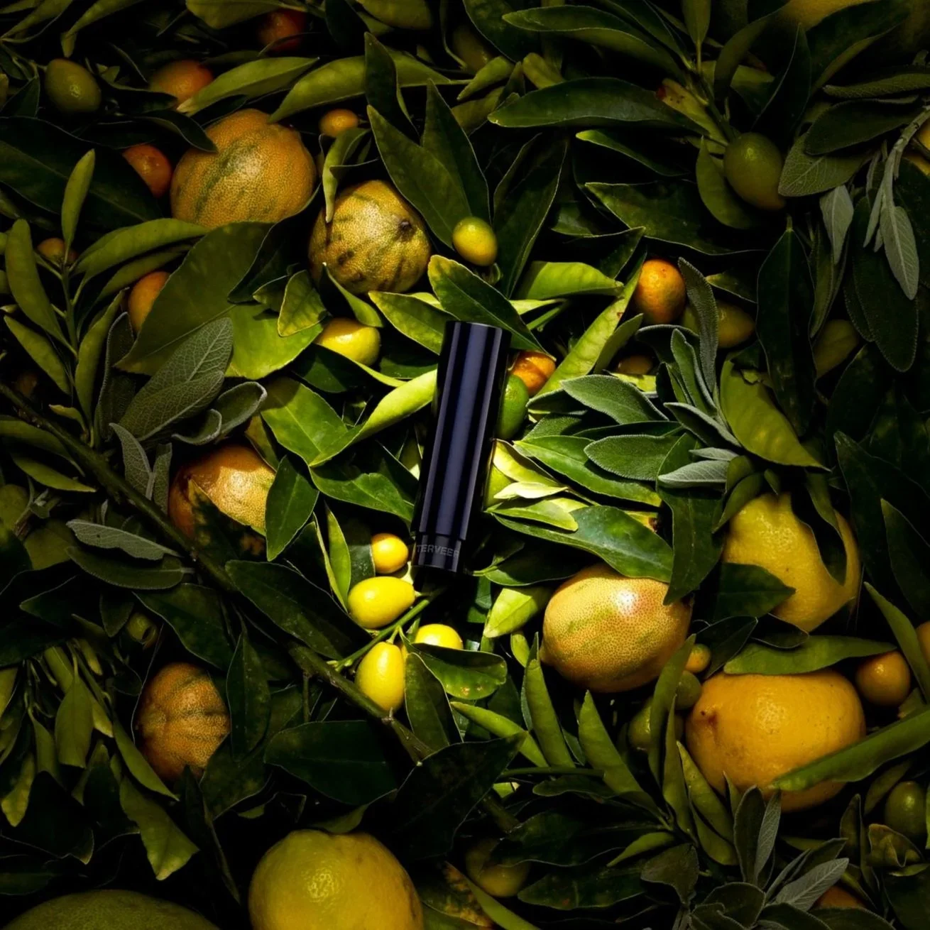 Terveer Luxury Fragrance | Packaging • Print • Web •  Product Photography Art Direction