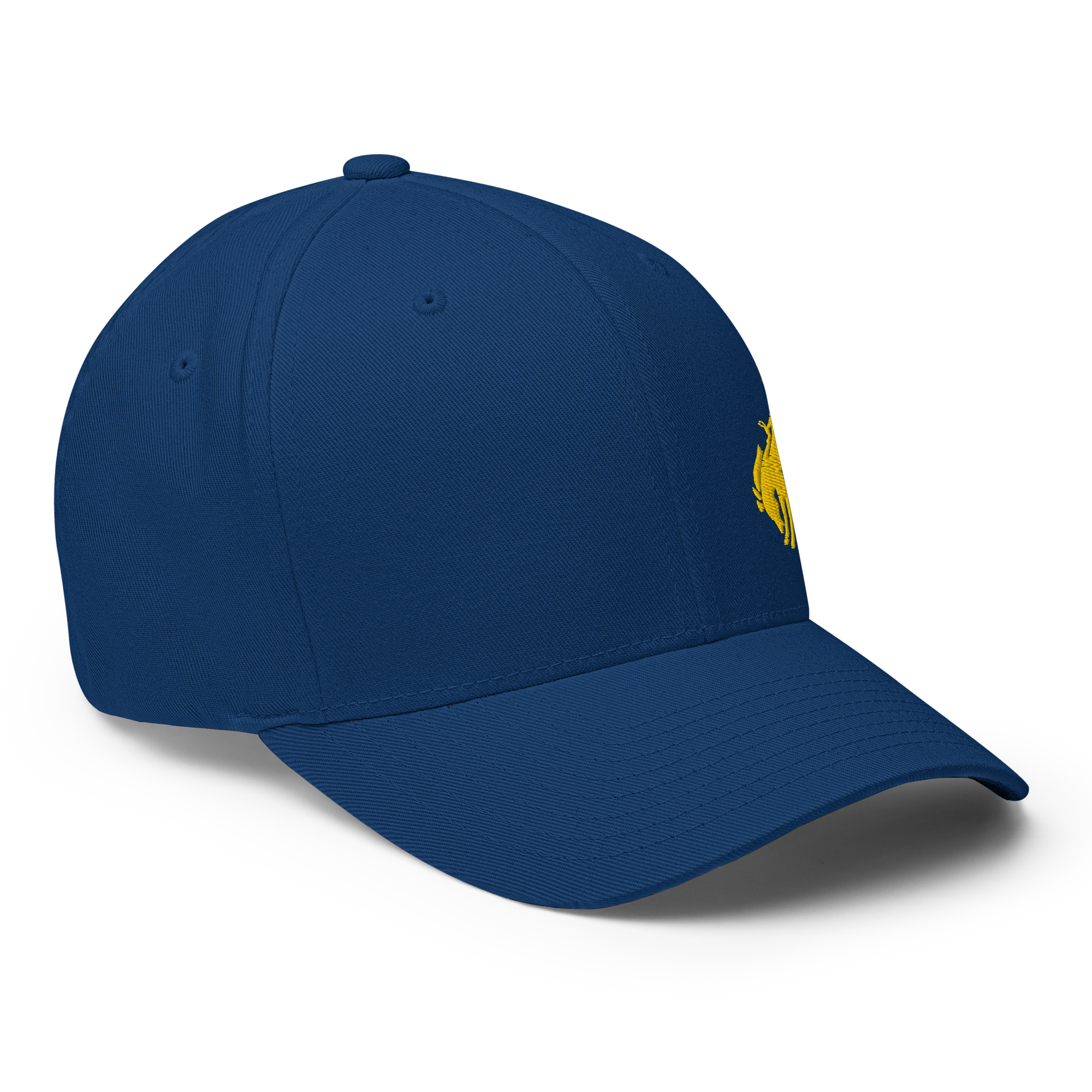 closed-back-structured-cap-royal-blue-right-front-66c51bdeac1a2.png