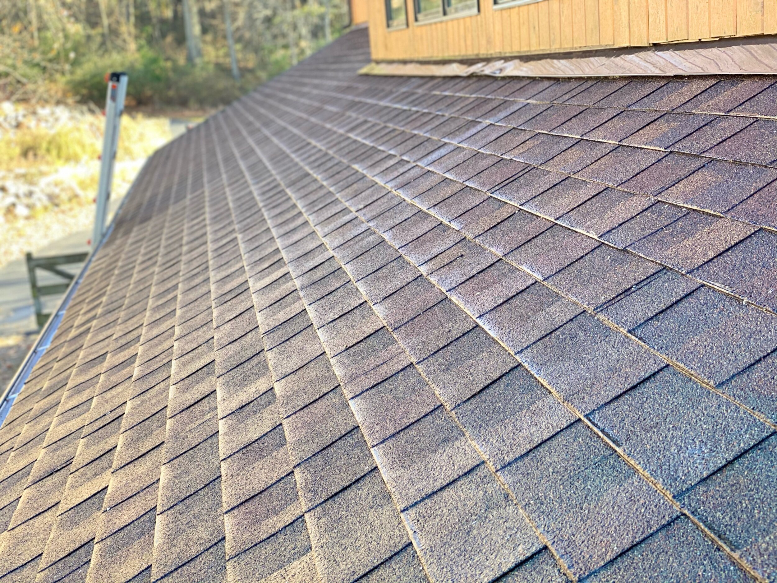 cleaning roof