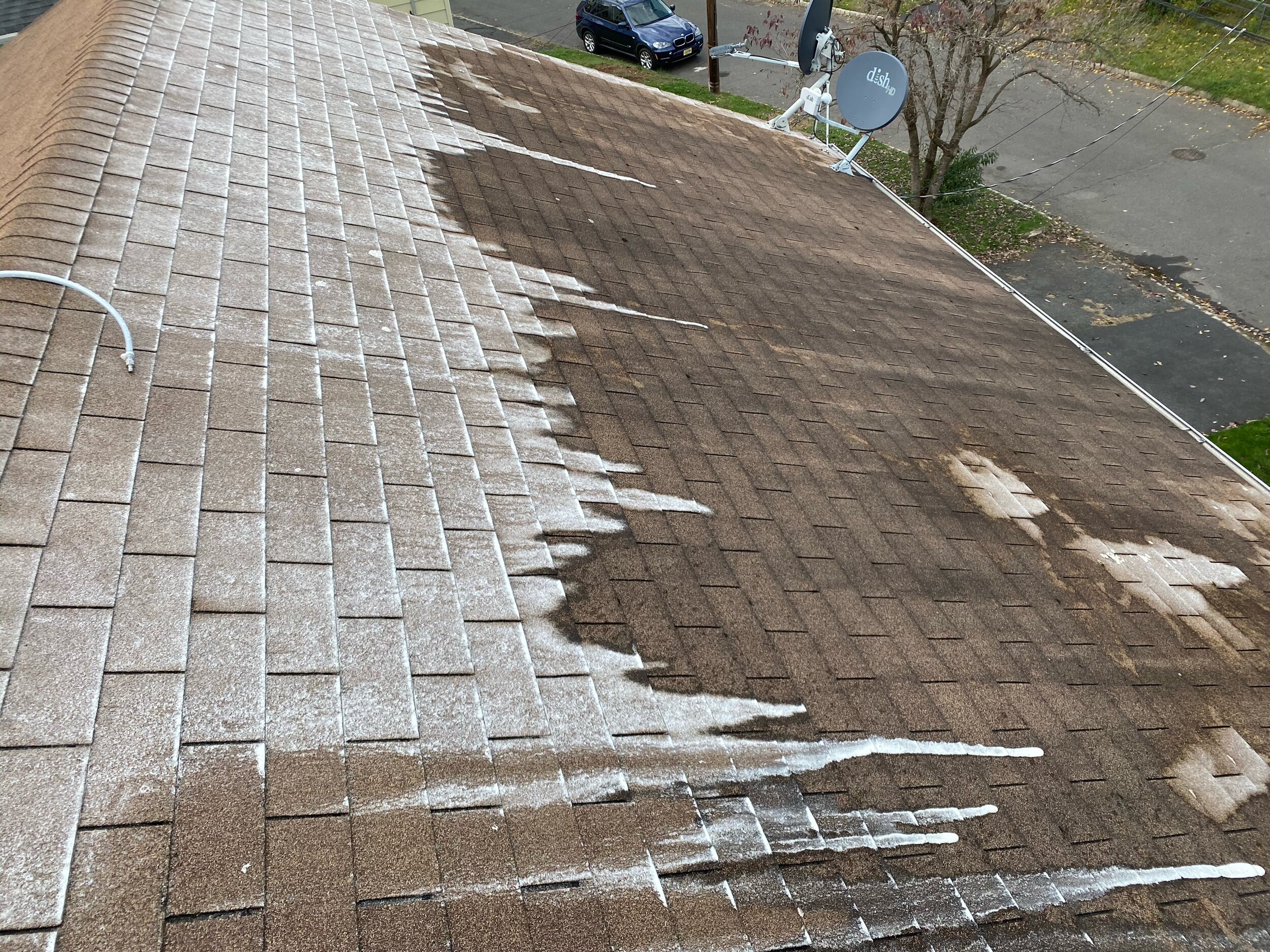 roof with solution applied