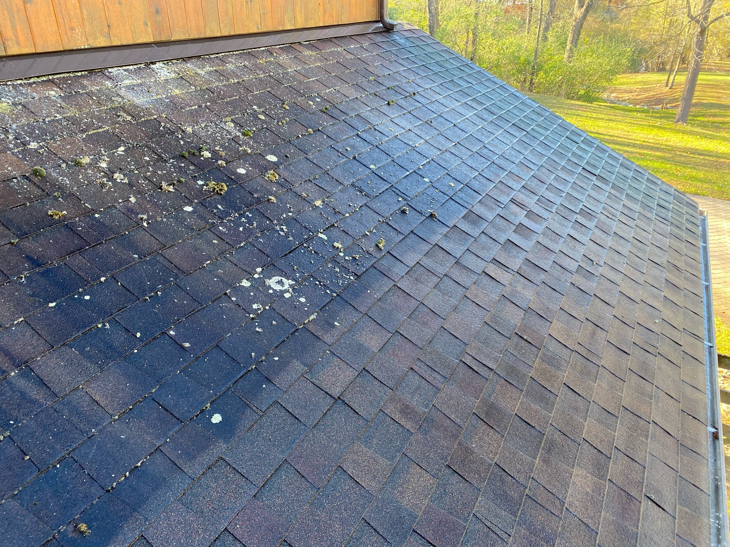 soft wash roof clean and moss extraction