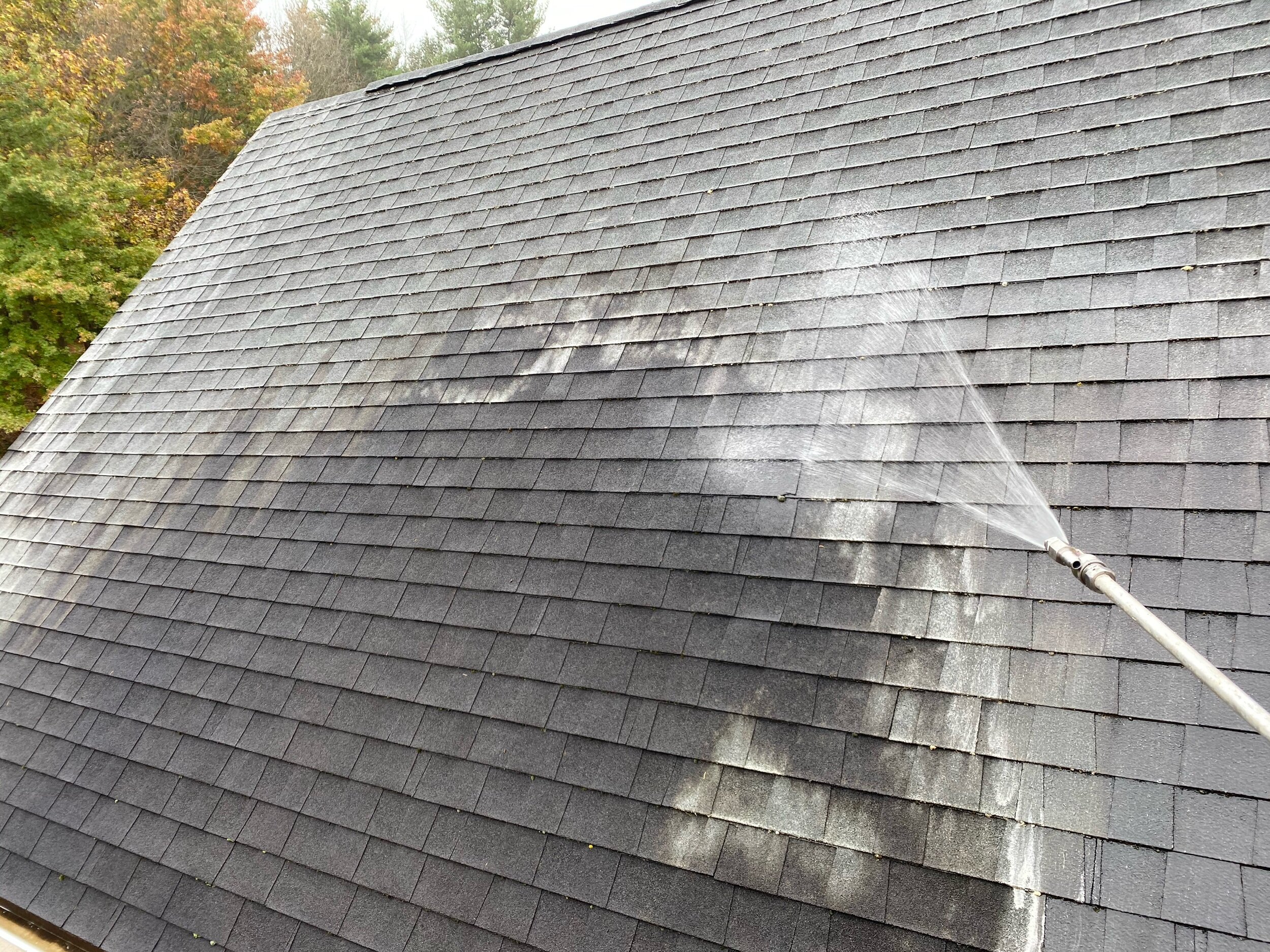 Roof cleaners NJ