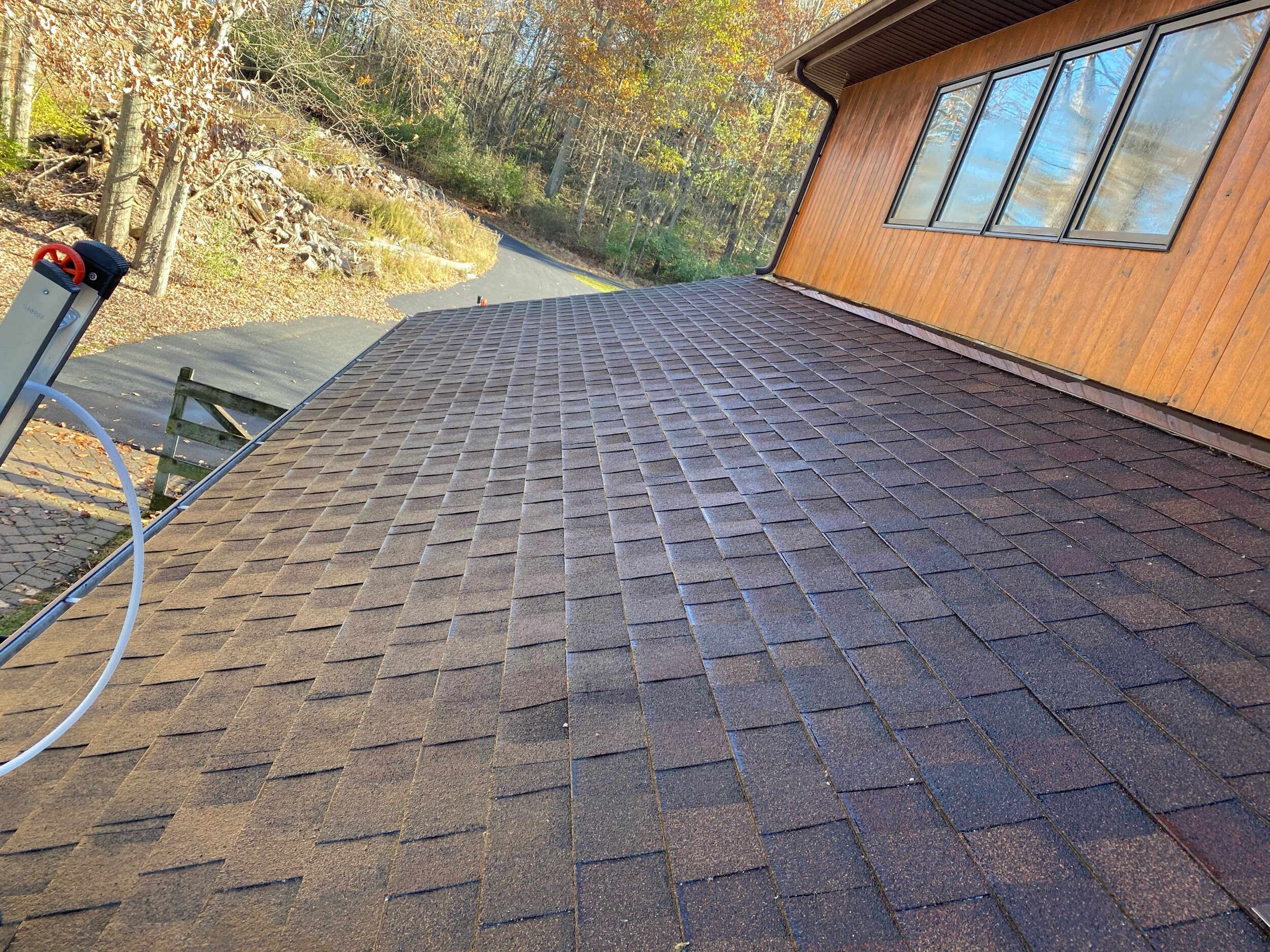 roof cleaned