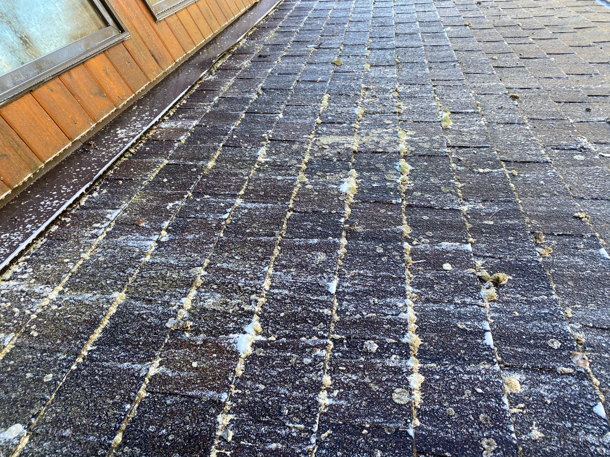 clean moss patties off of roof nj