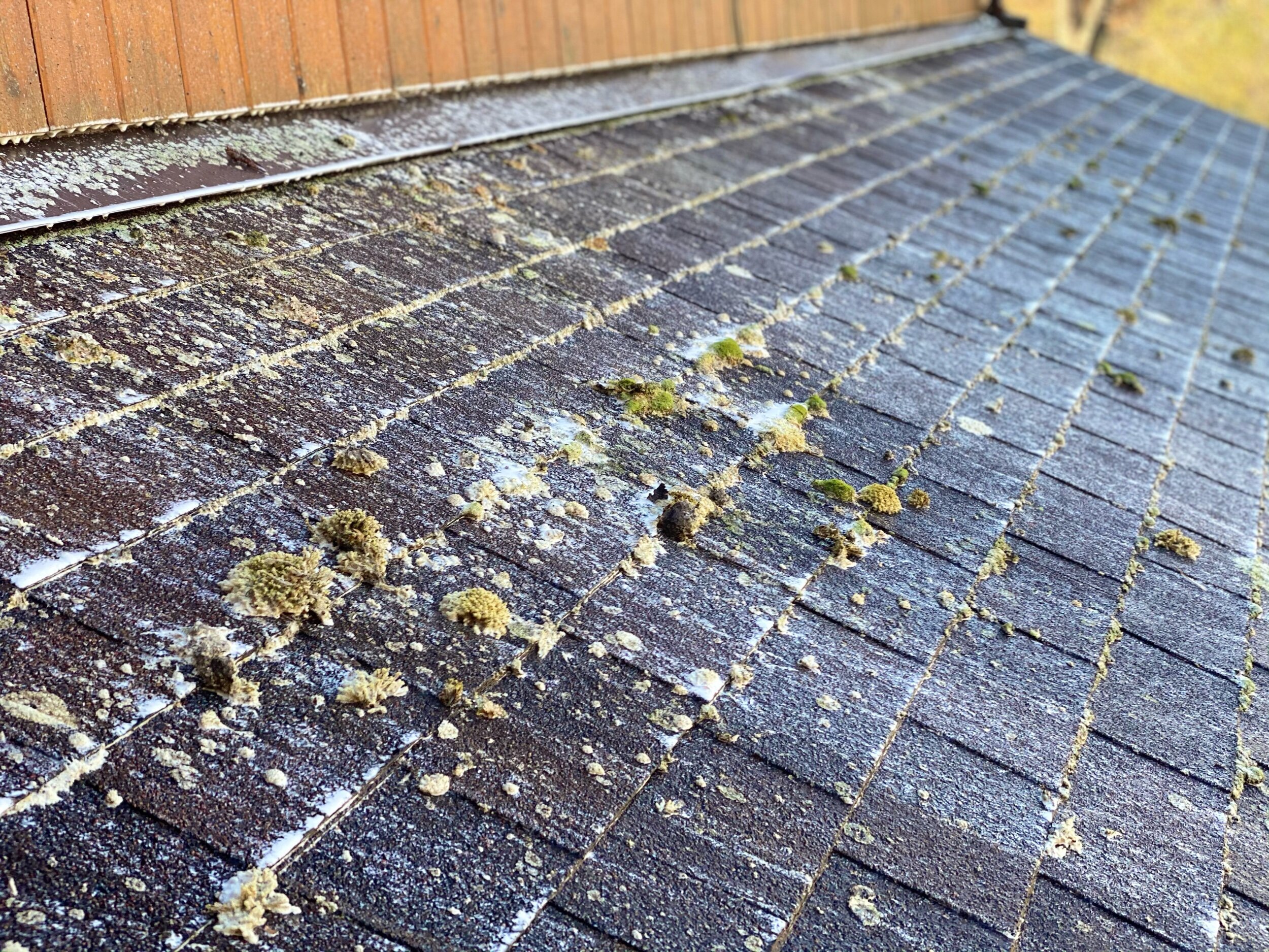 clean black streaks off roof