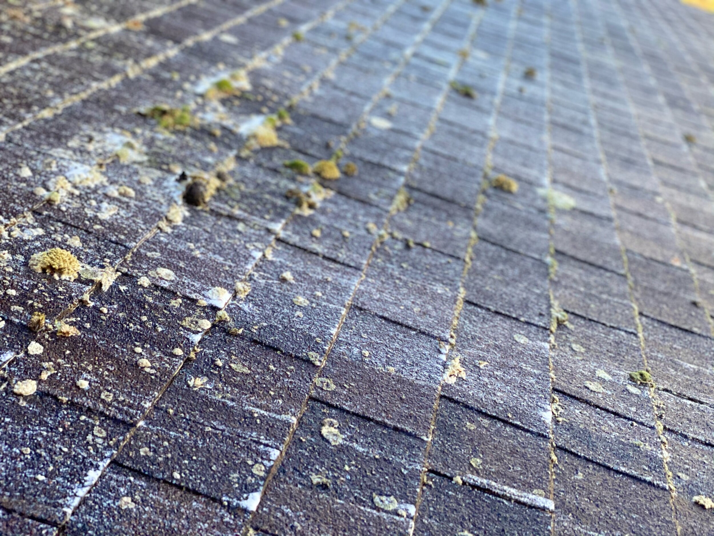 dirty roofs being cleaned