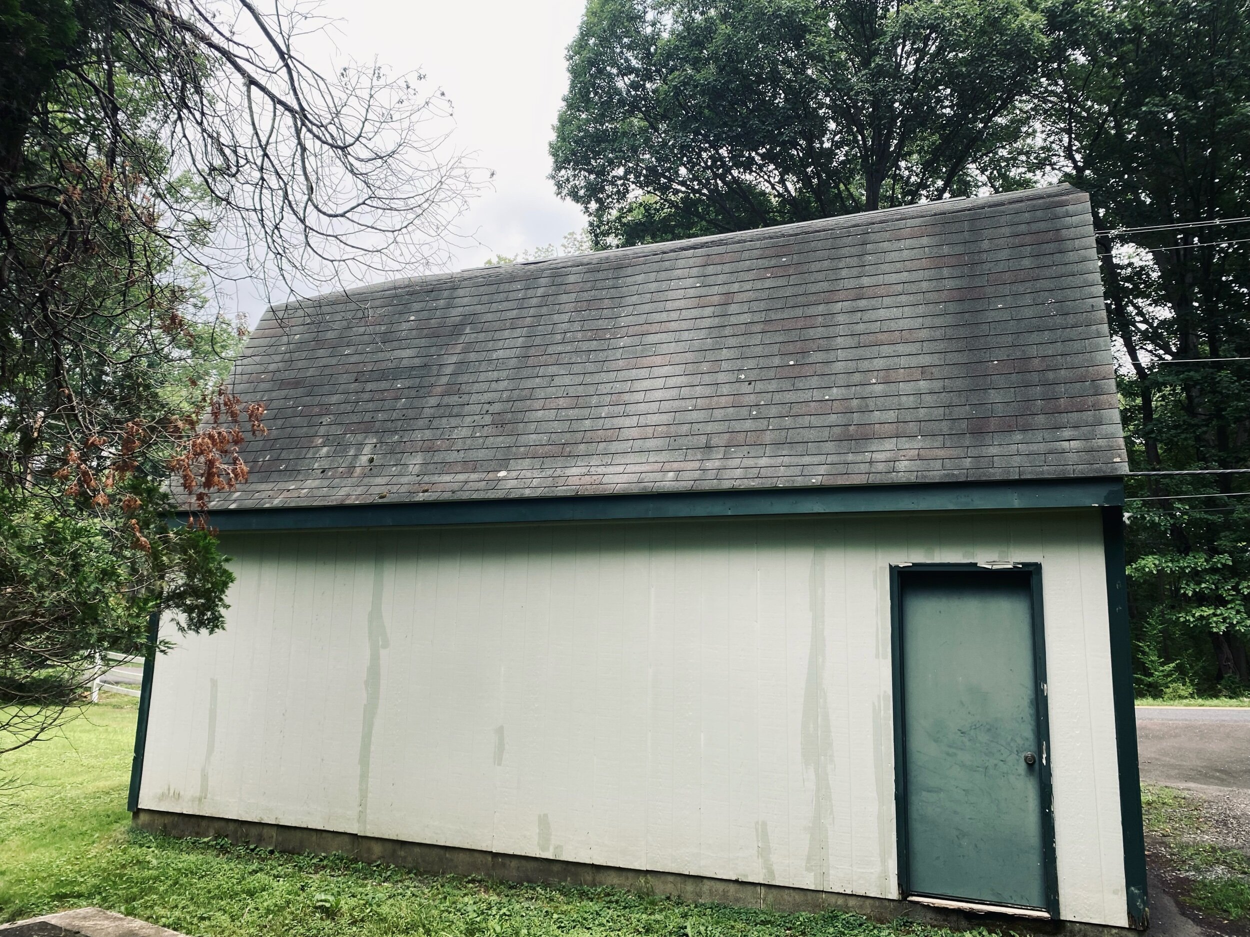 before roof cleaning black streaks