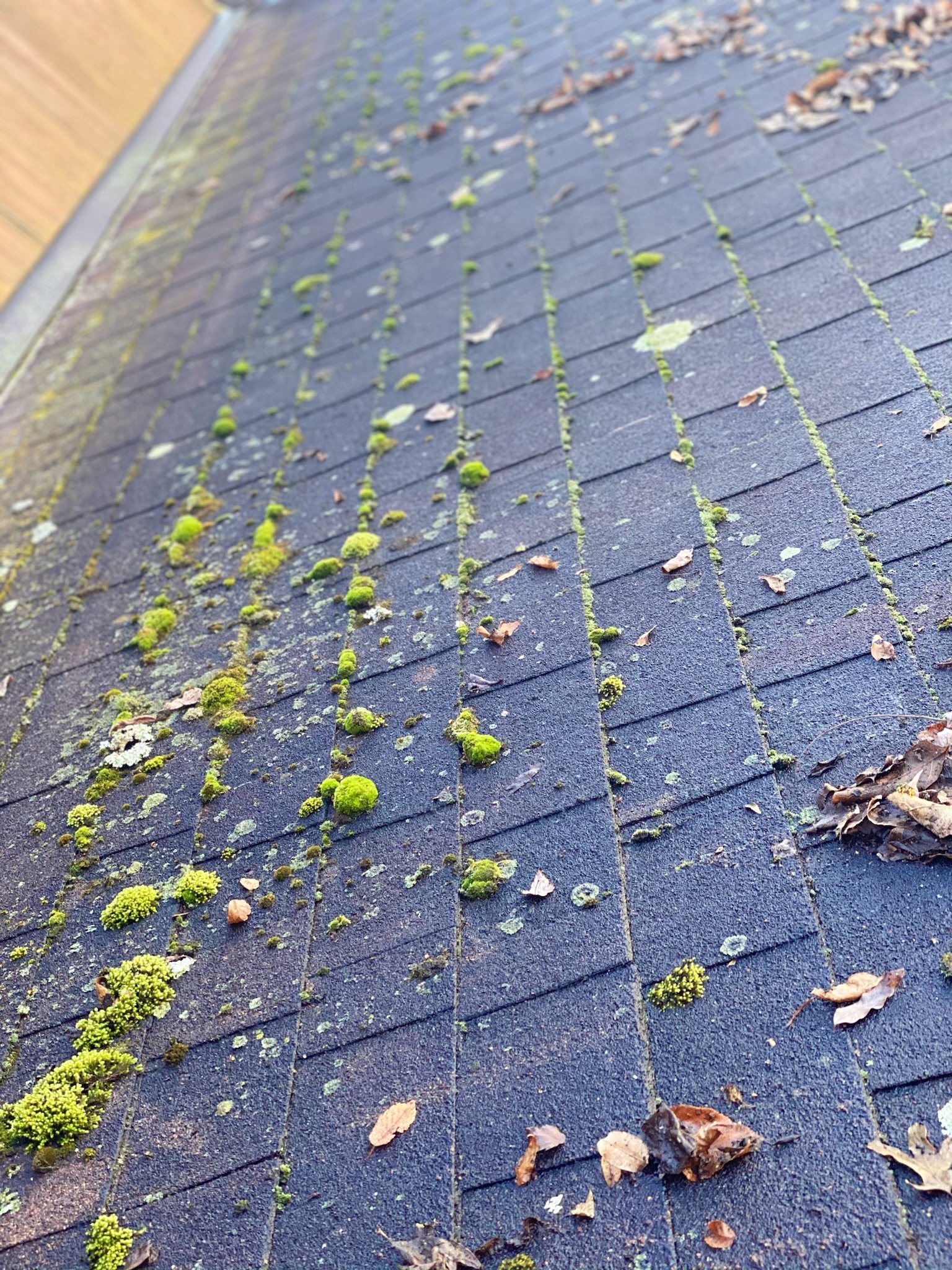 Roof cleaners Lehigh valley PA