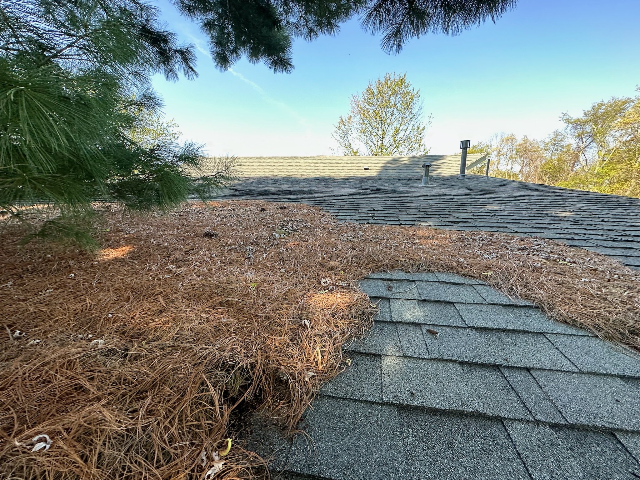 roof cleaning Hunterdon county nj