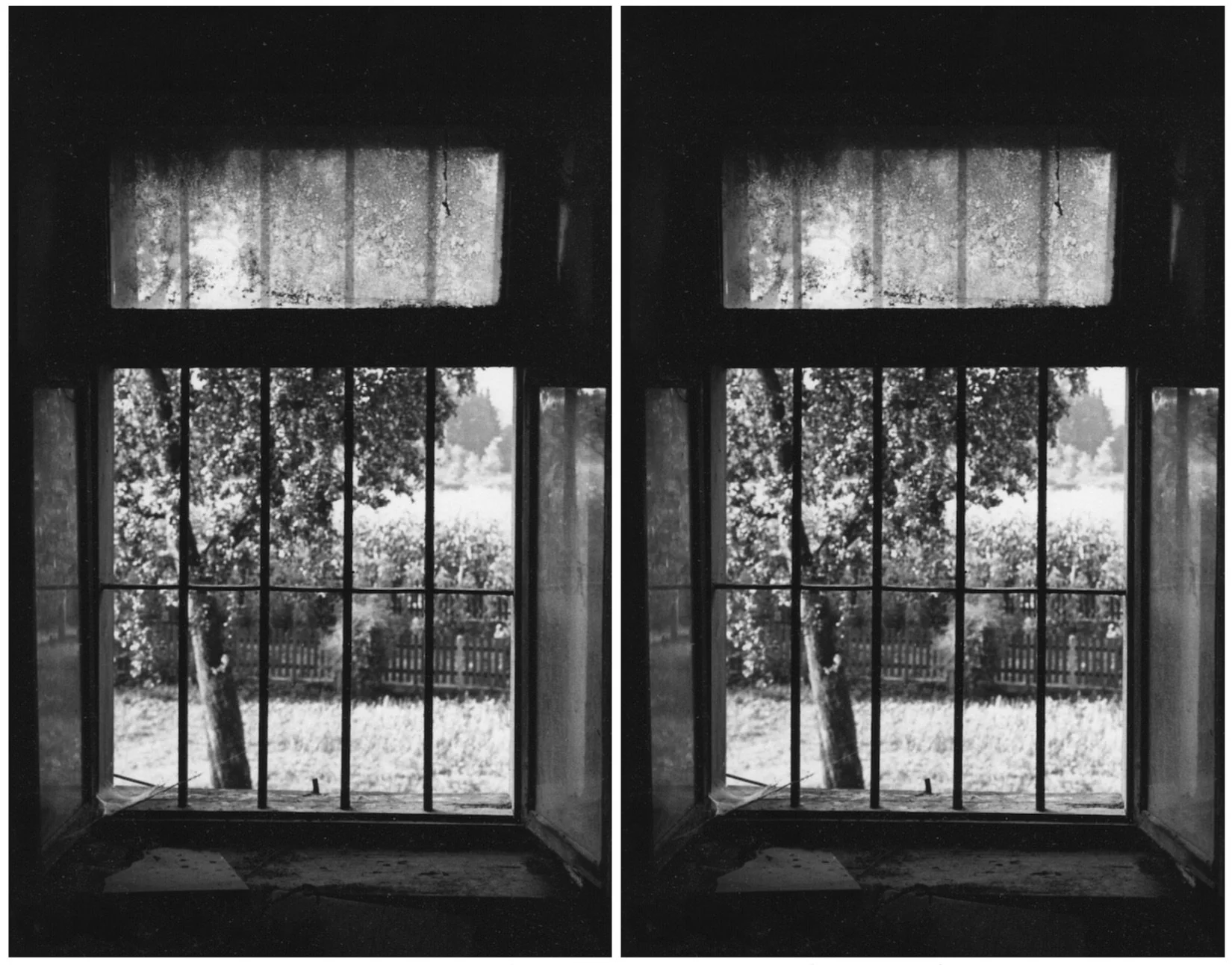 Looking Back, Looking forward | Miriam Fabijan