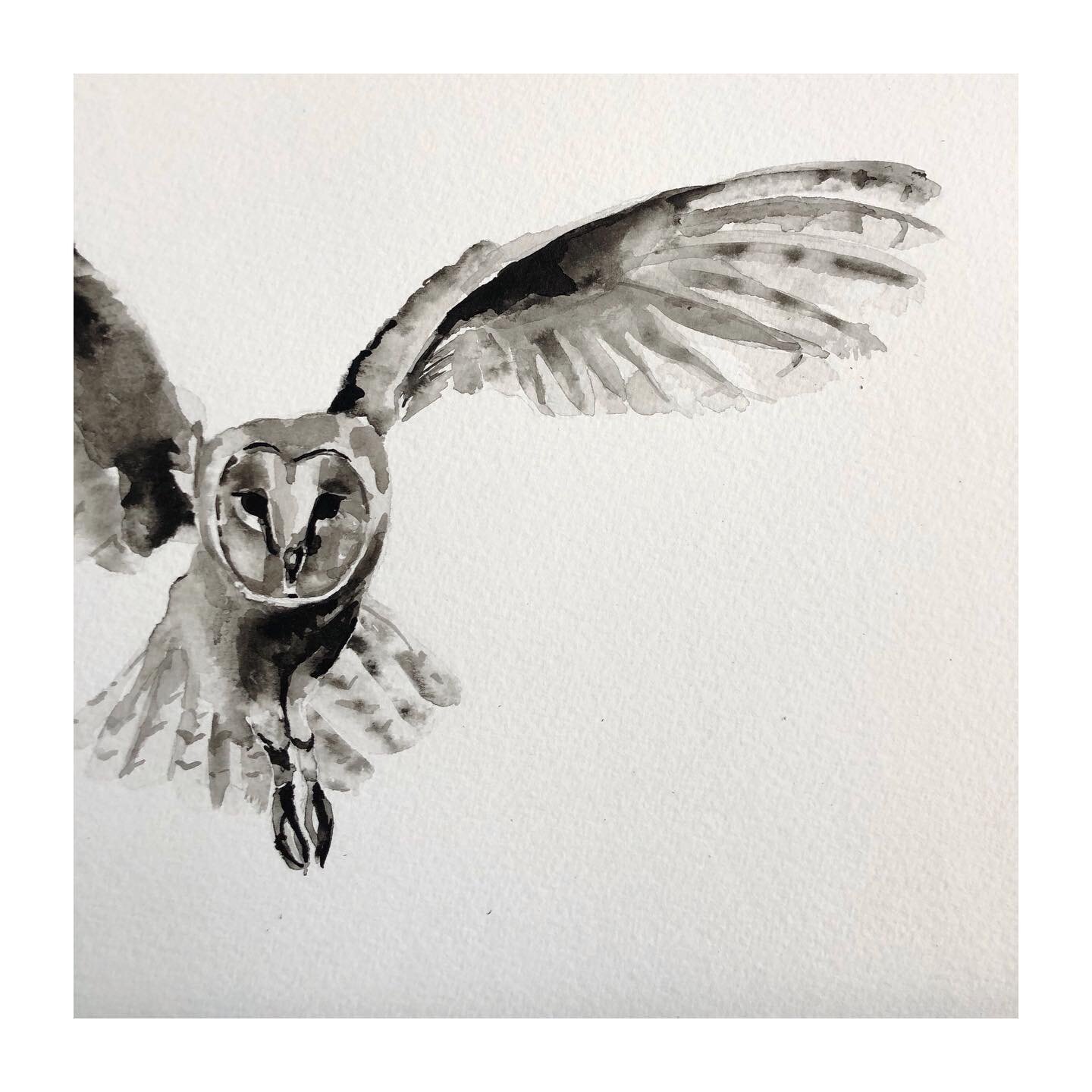 Easing back into it with some preliminary owl studies for a commission piece that&rsquo;s going to be a highly impactful A1 size.

#contemporarywatercolour #mixedmedia #mixedmediaartist #wildlifeartist #natureartist #wildlifeart #modernwatercolour #w