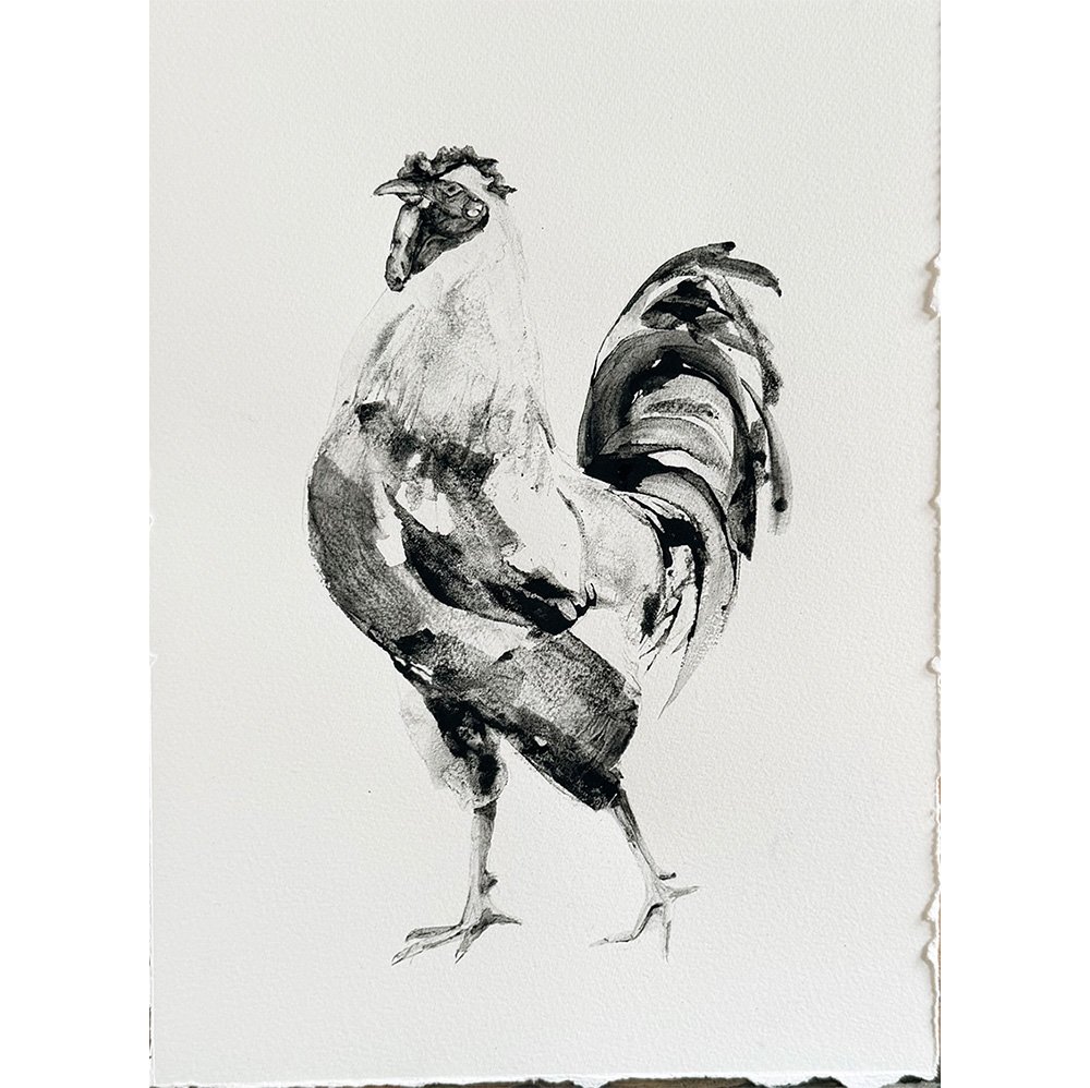 Rooster