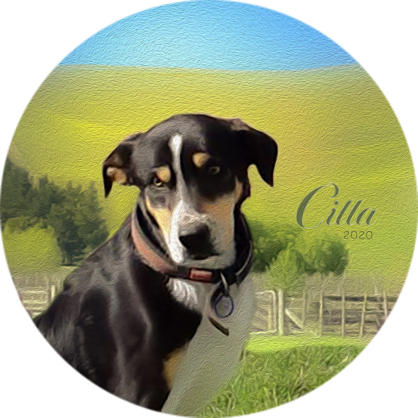    “Cilla - You Can’t Take the Farm out of the Dog”     based on a photo by Margie Kaye 
