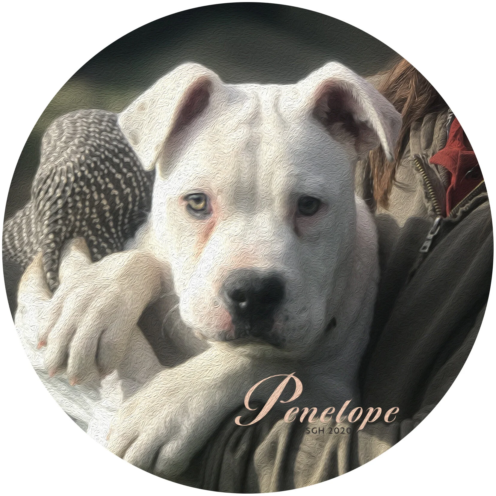    “Penelope or P”      based on a photo by Susan Graber Hunsberger 
