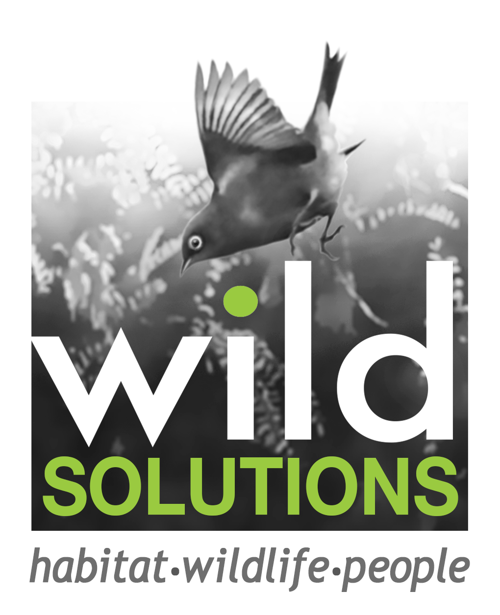      Wild Solutions      logo 
