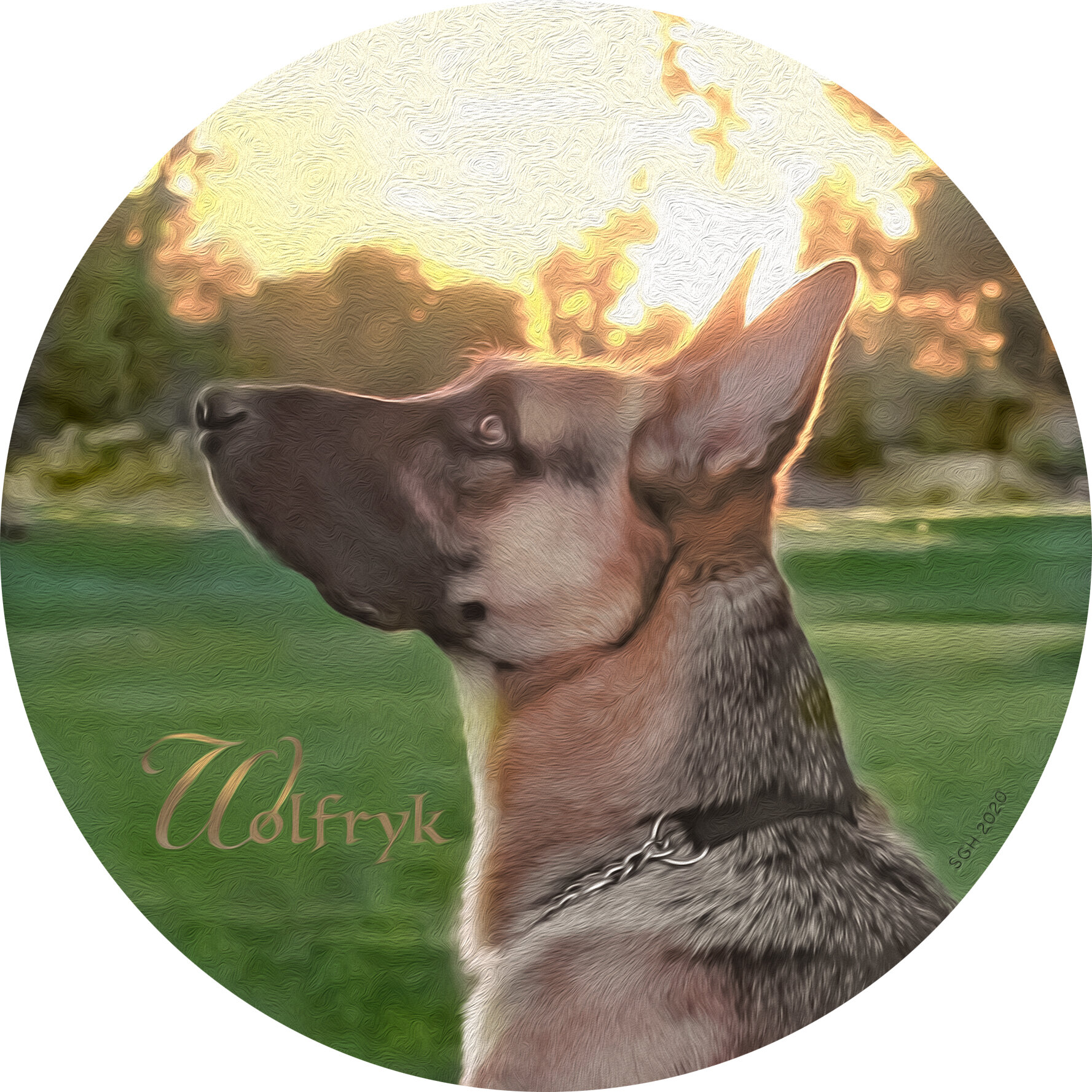    “Wolfryk”      based on a photo by Steve Graber 
