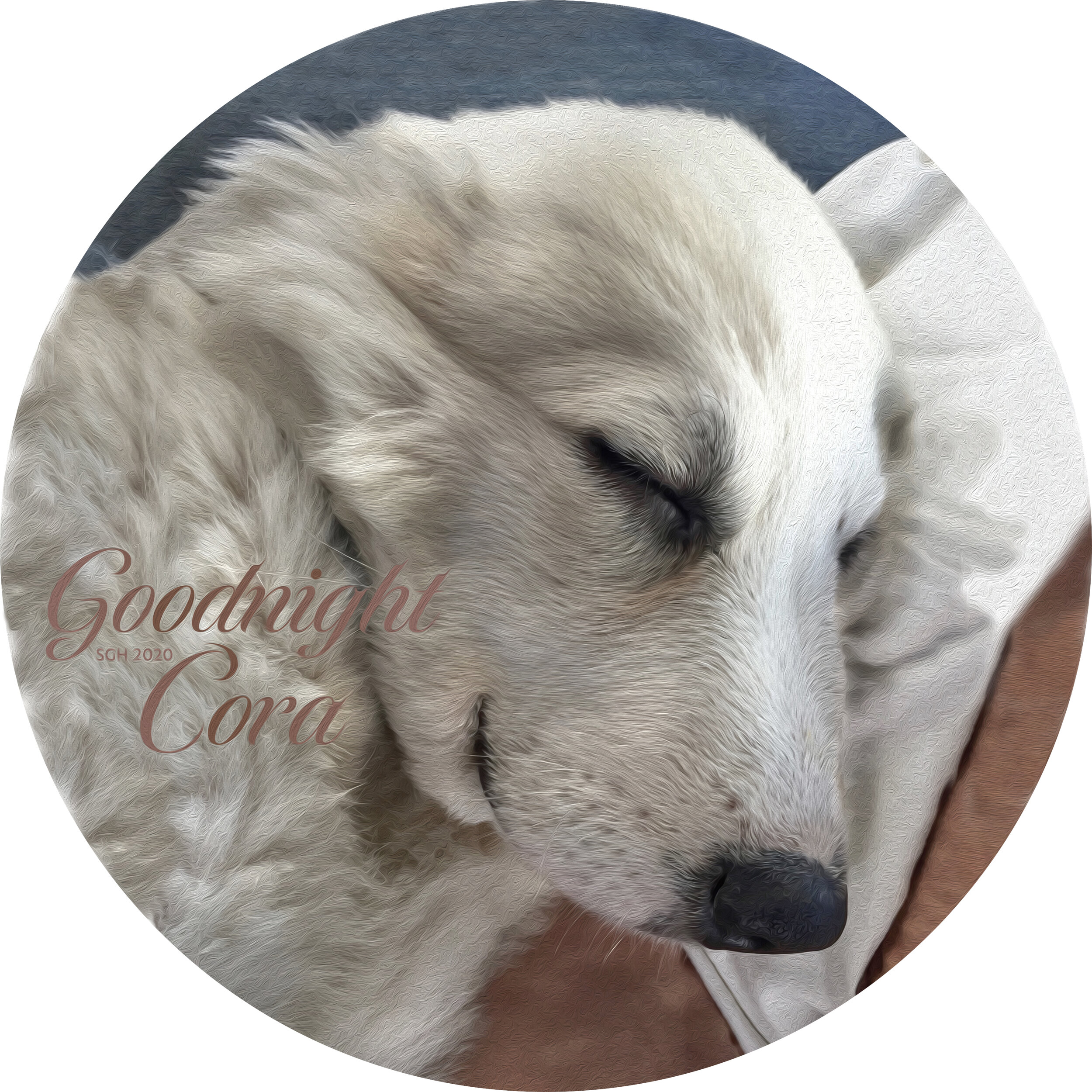    “Goodnight Cora”       based on a photo by Susan Graber Hunsberger 