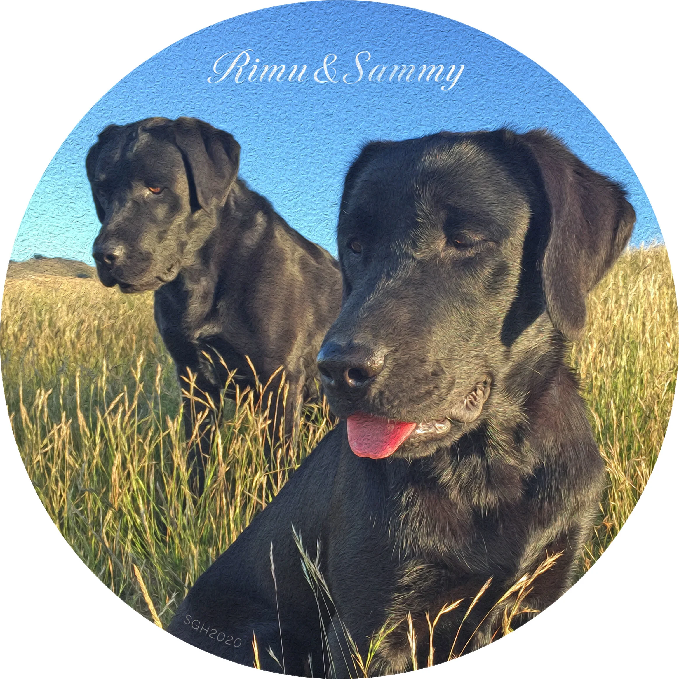    “Rimu and Sammy”      based on a photo by Susan Graber Hunsberger 