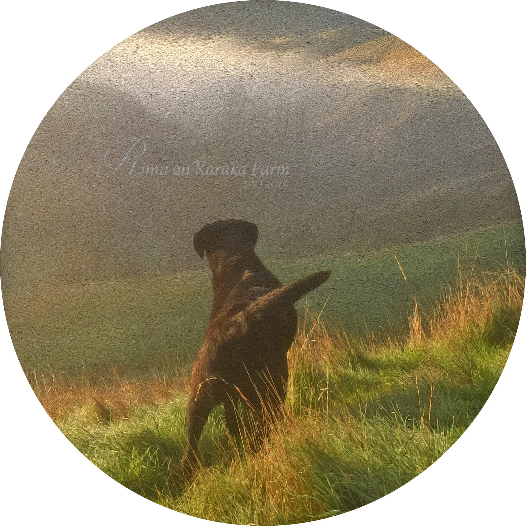    “Rimu on Karaka Farm”      based on a photo by Susan Graber Hunsberger     