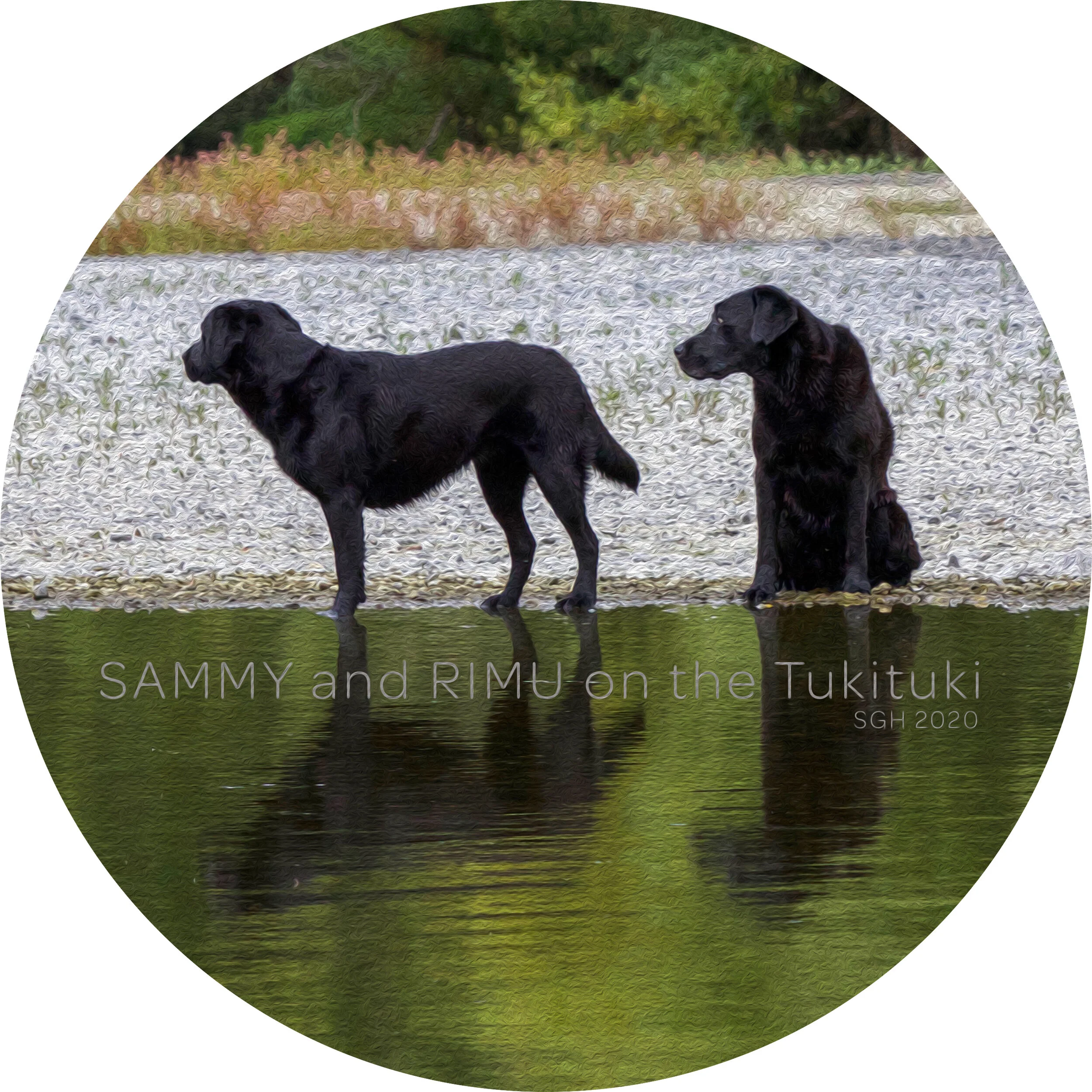    “Sammy and Rimu on the Tukituki”      based on a photo by Susan Graber Hunsberger 