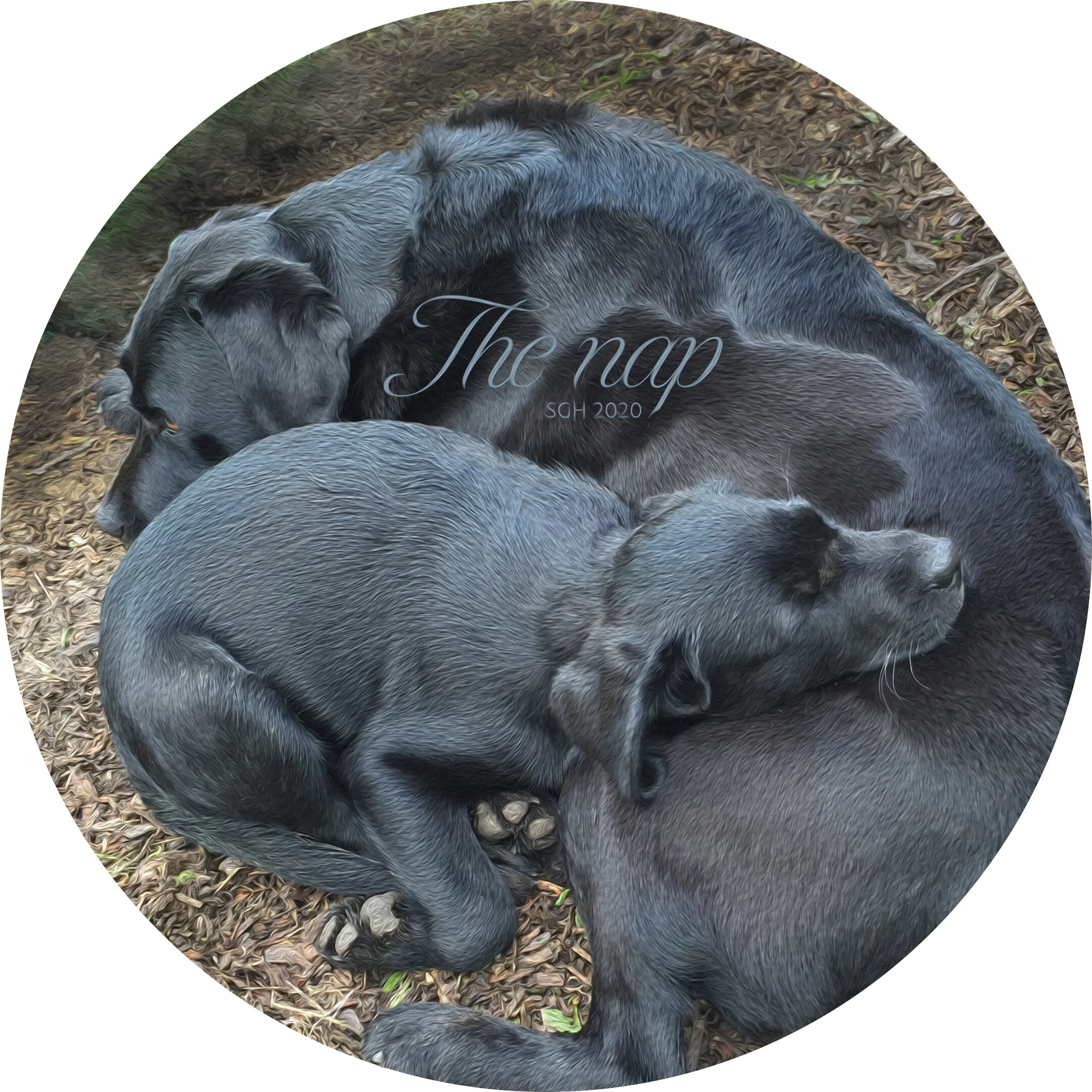    “The Nap”      based on a photo by Susan Graber Hunsberger 