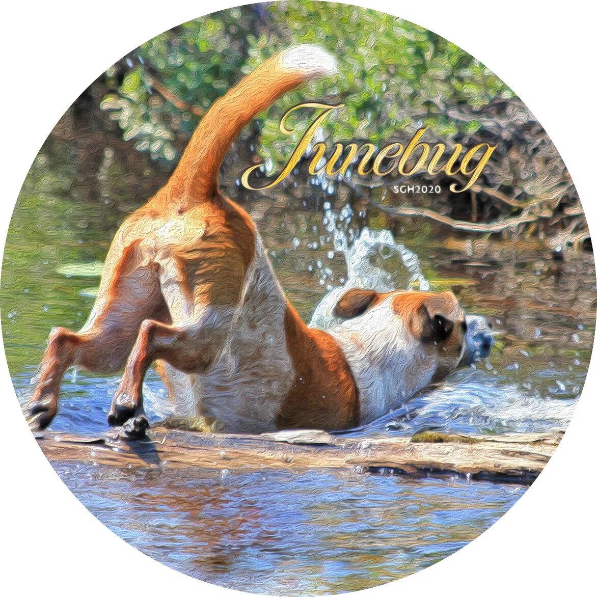    “Junebug Splashing into Round Lake”      based on a photo by Susan Graber Hunsberger 
