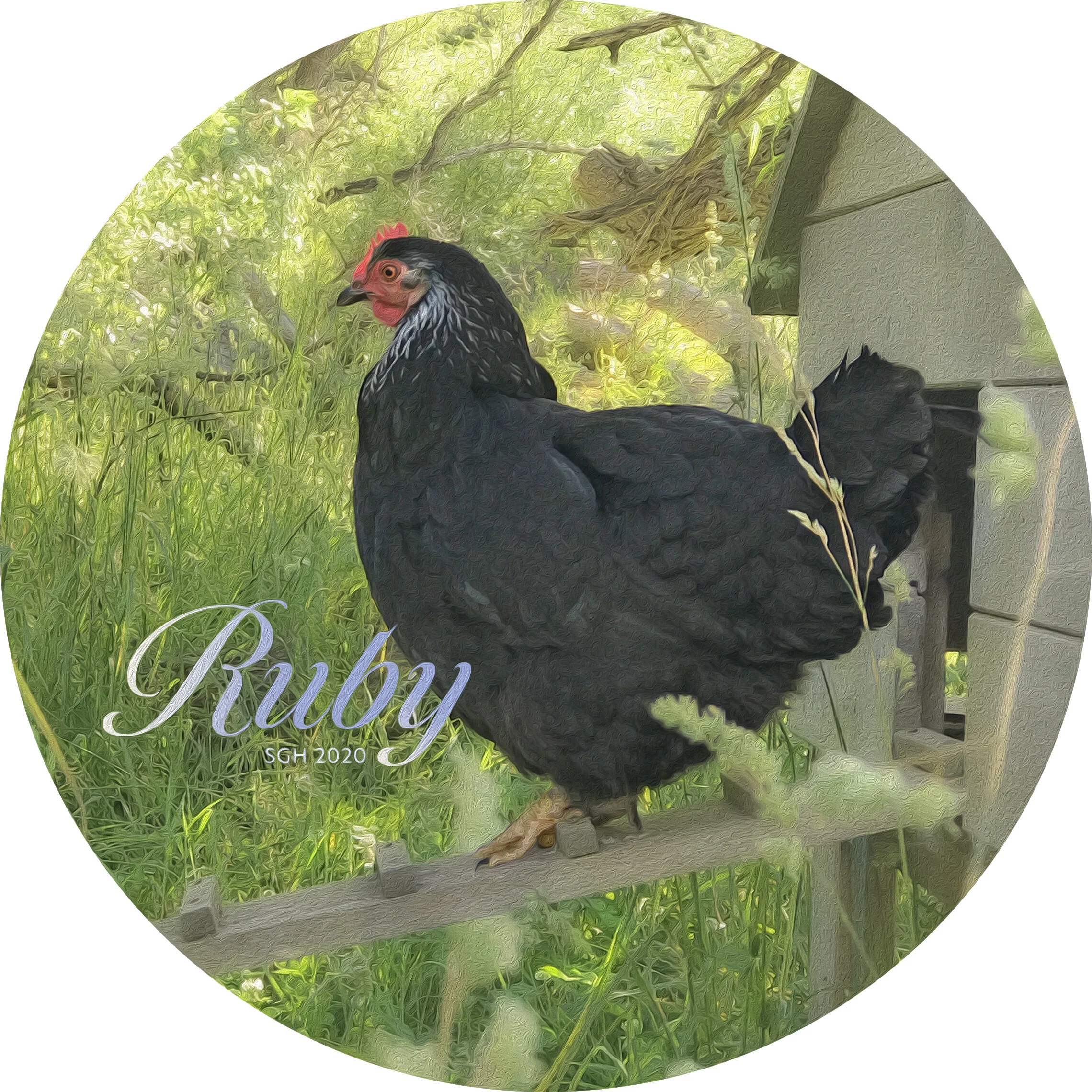    “Ruby”     based on a photo by Susan Graber Hunsberger 