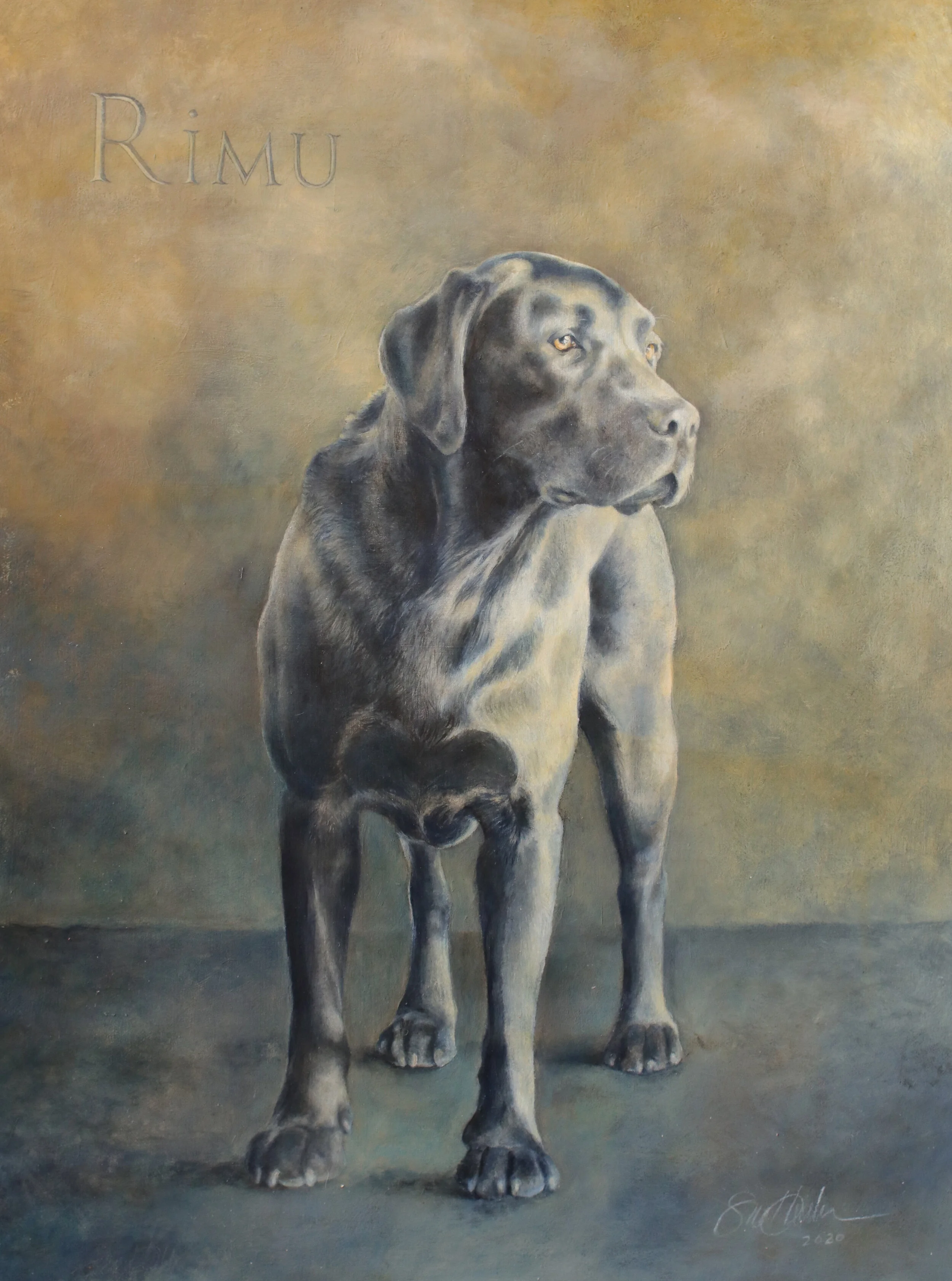    “Rimu”      water mixable oil on masonite    30 x 40cm 