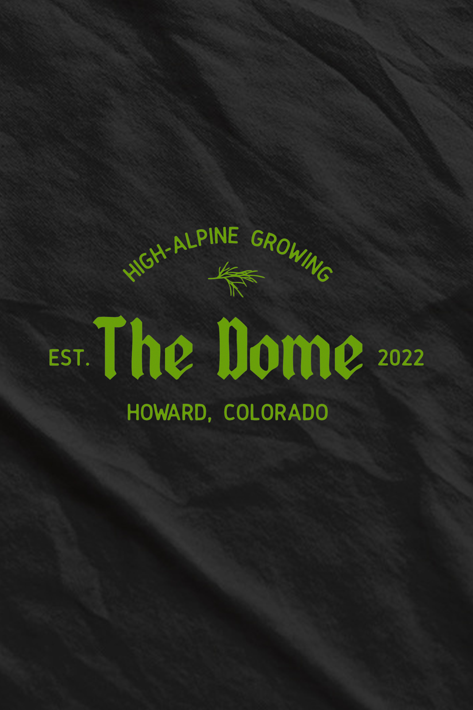 Dome Logo.png
