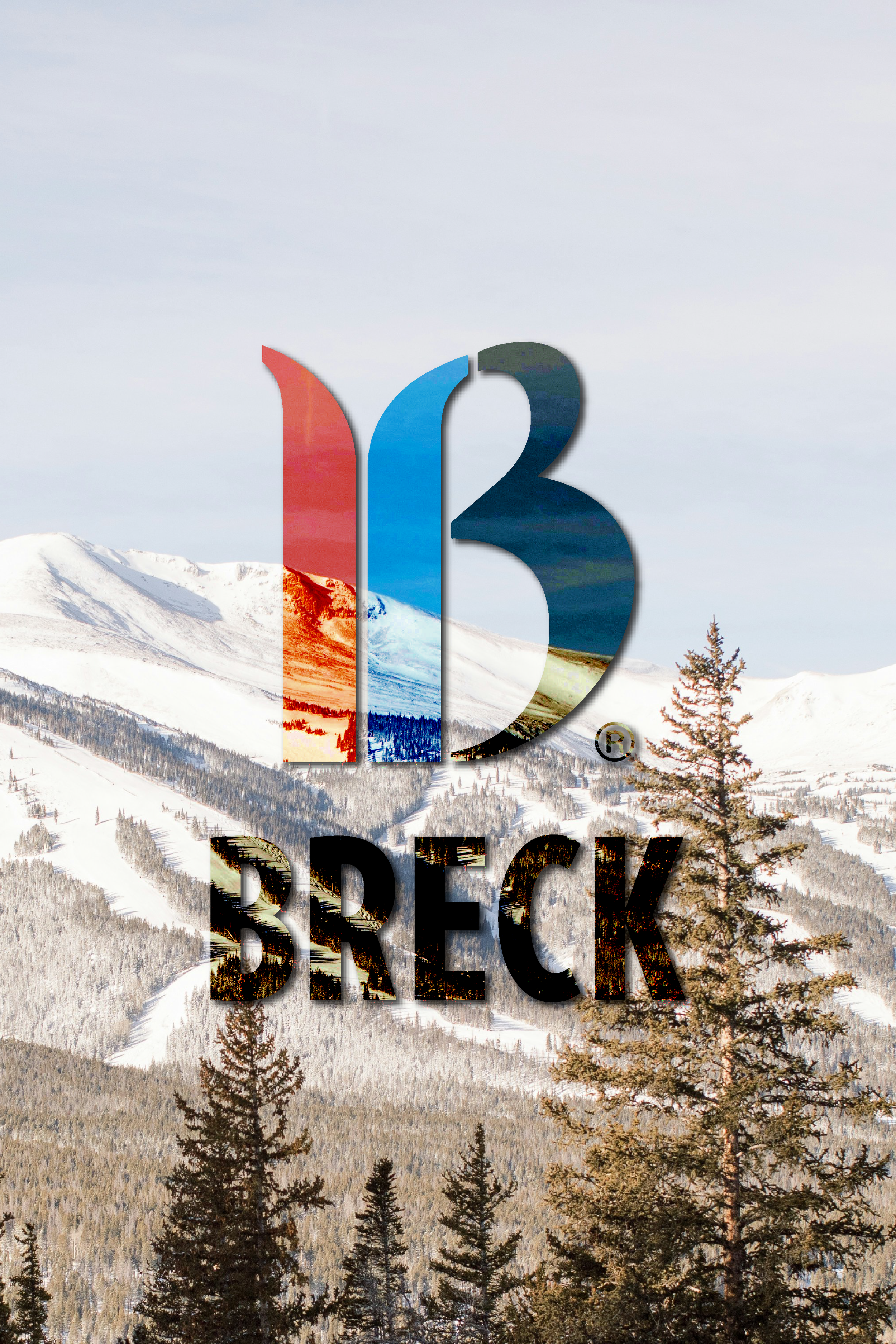 Breckenridge Master Signage Plan