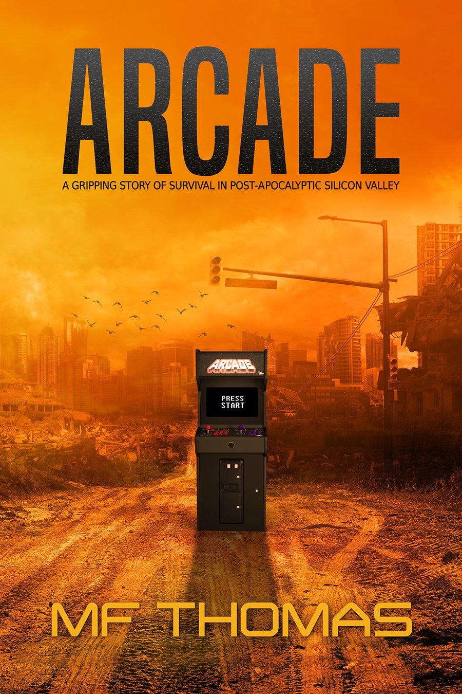 arcaderesizedmaxquality.jpg
