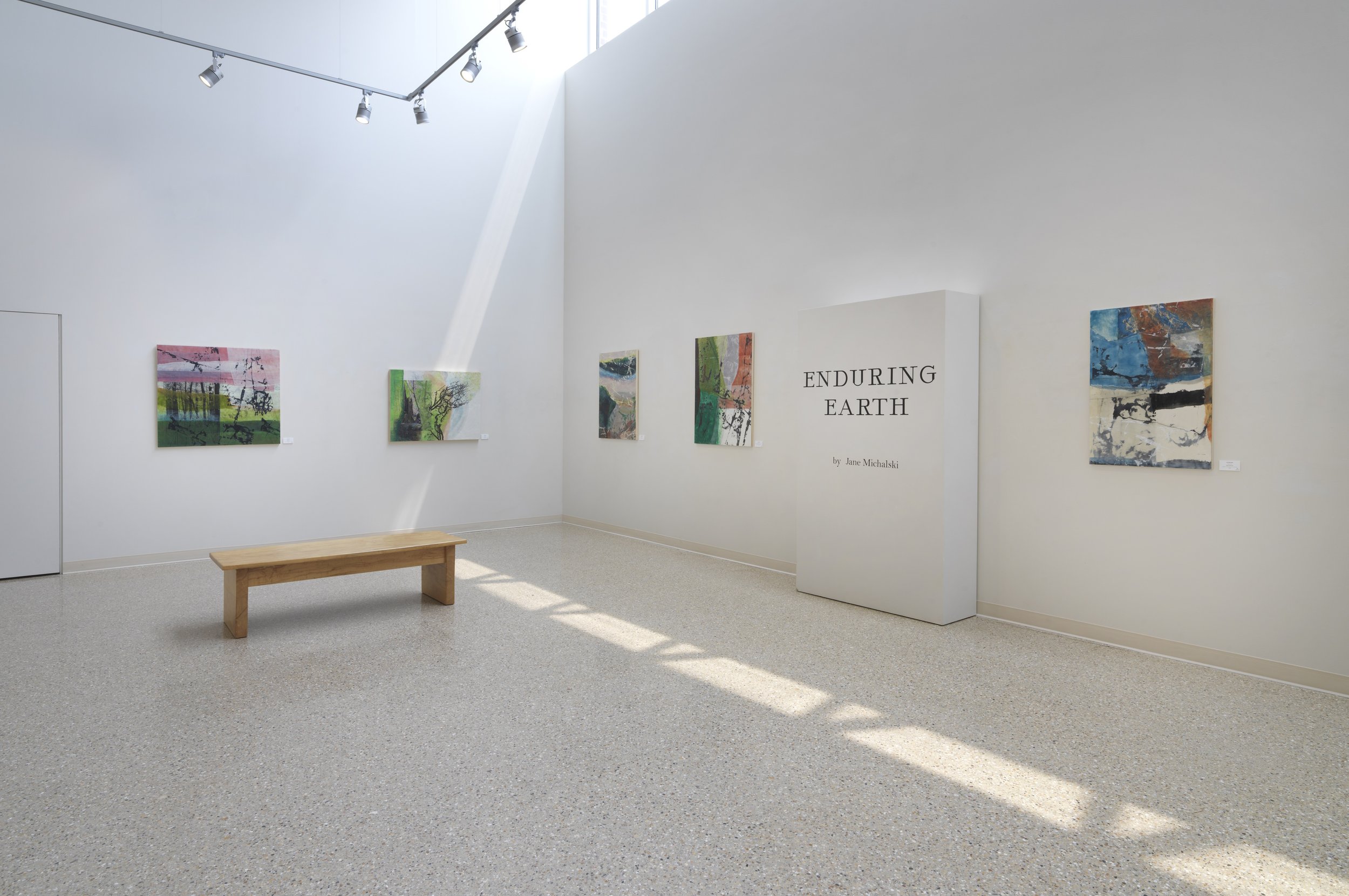 6. Monroe Arts Center_Jane Michalski_art exhibition in 2023_Enduring Earth.jpg