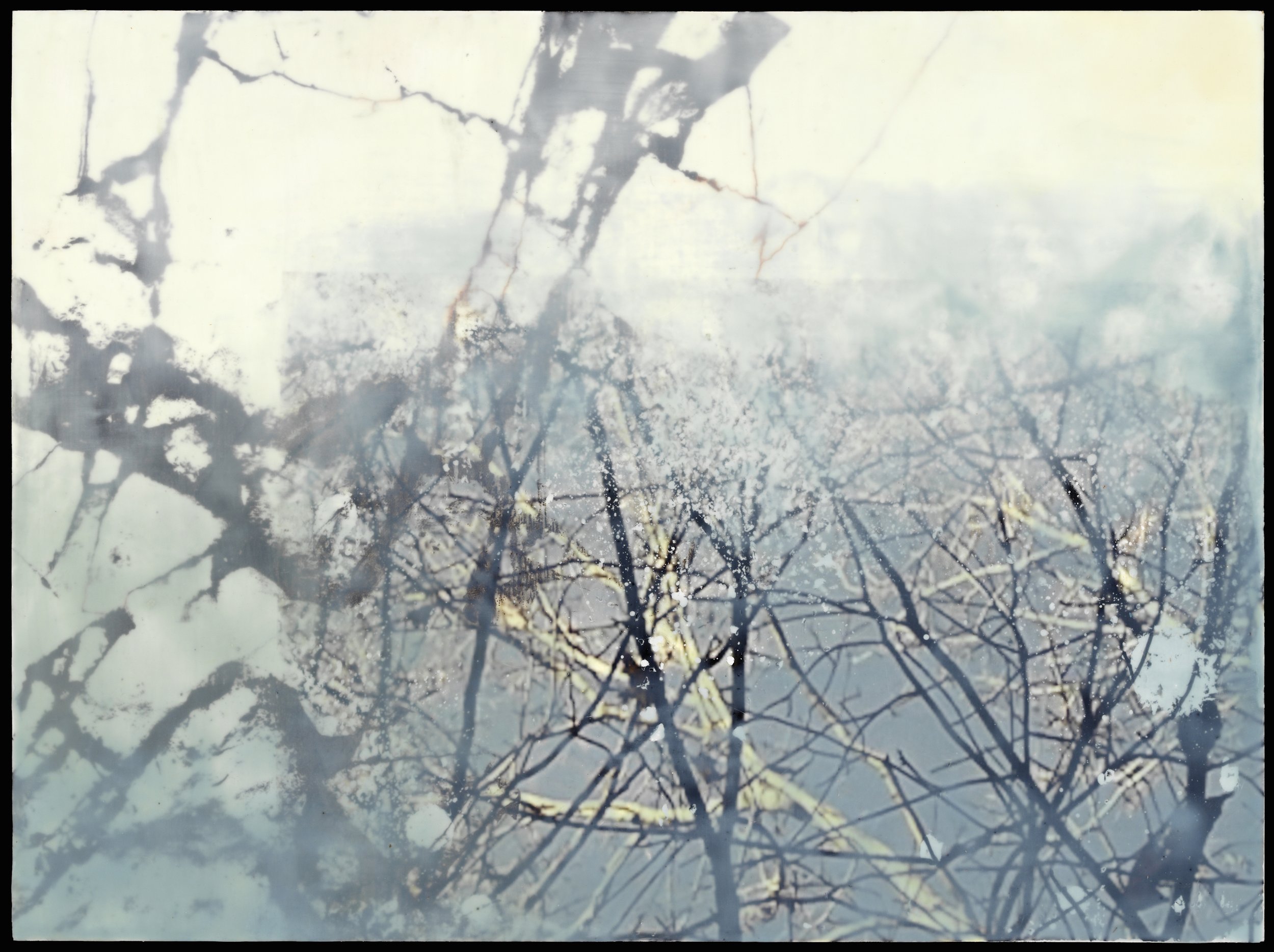 "Study for November Wind" encaustic on panel, photo transfer, 18 x 24 x1.5 in.