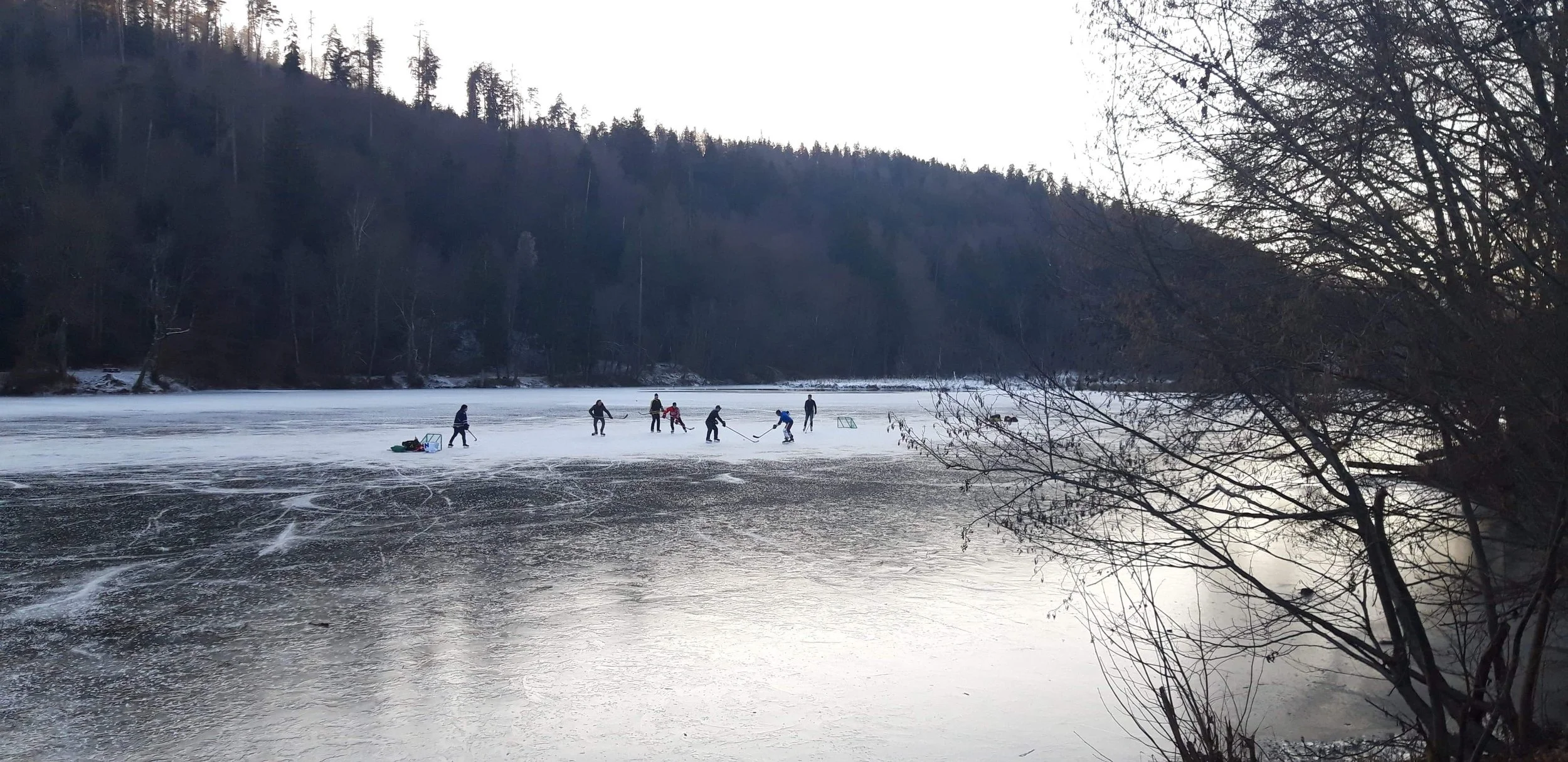 Entry Thirteen: When I Finally Understood What Was Disappearing