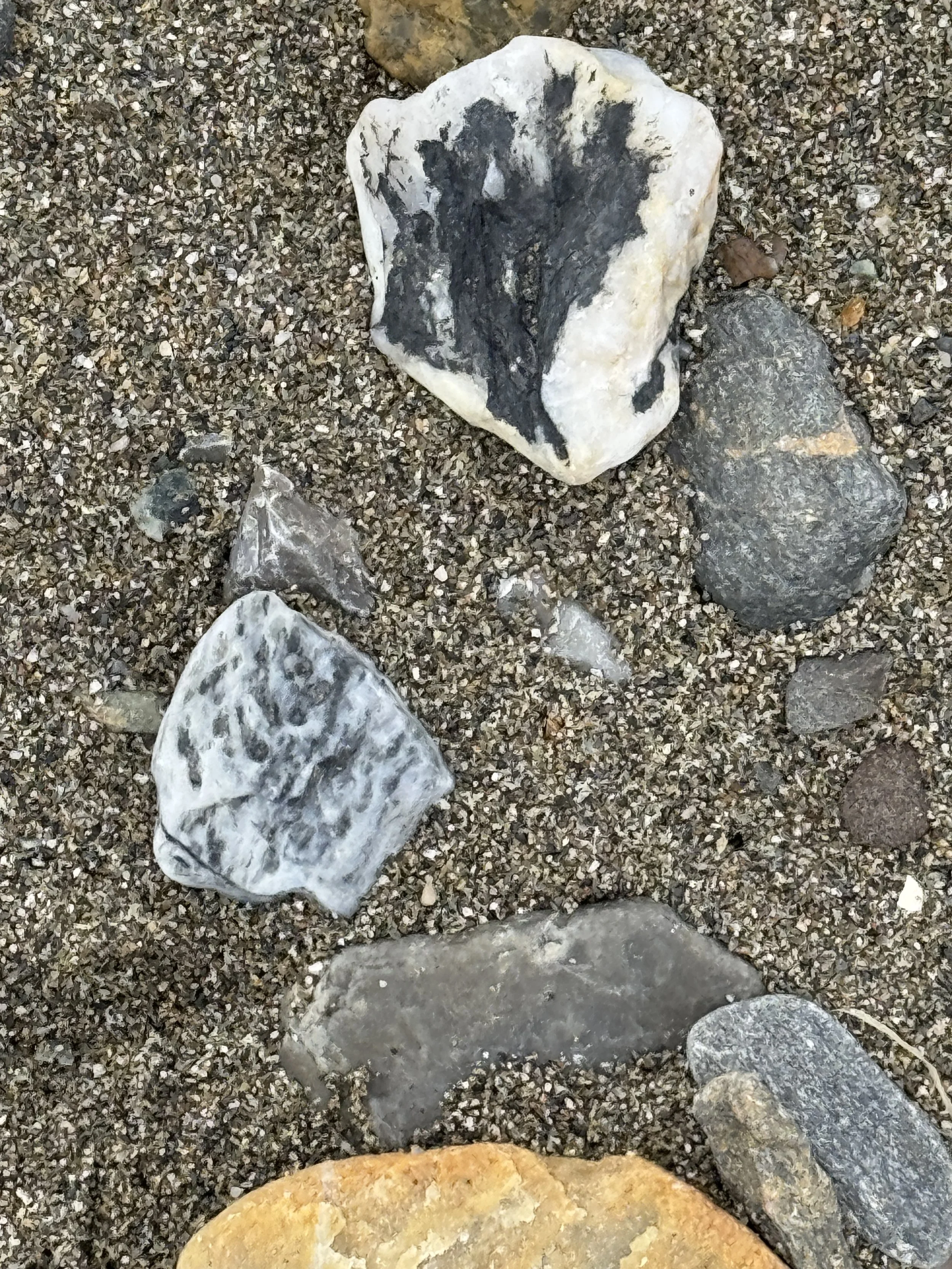 IMG_8735.JPG