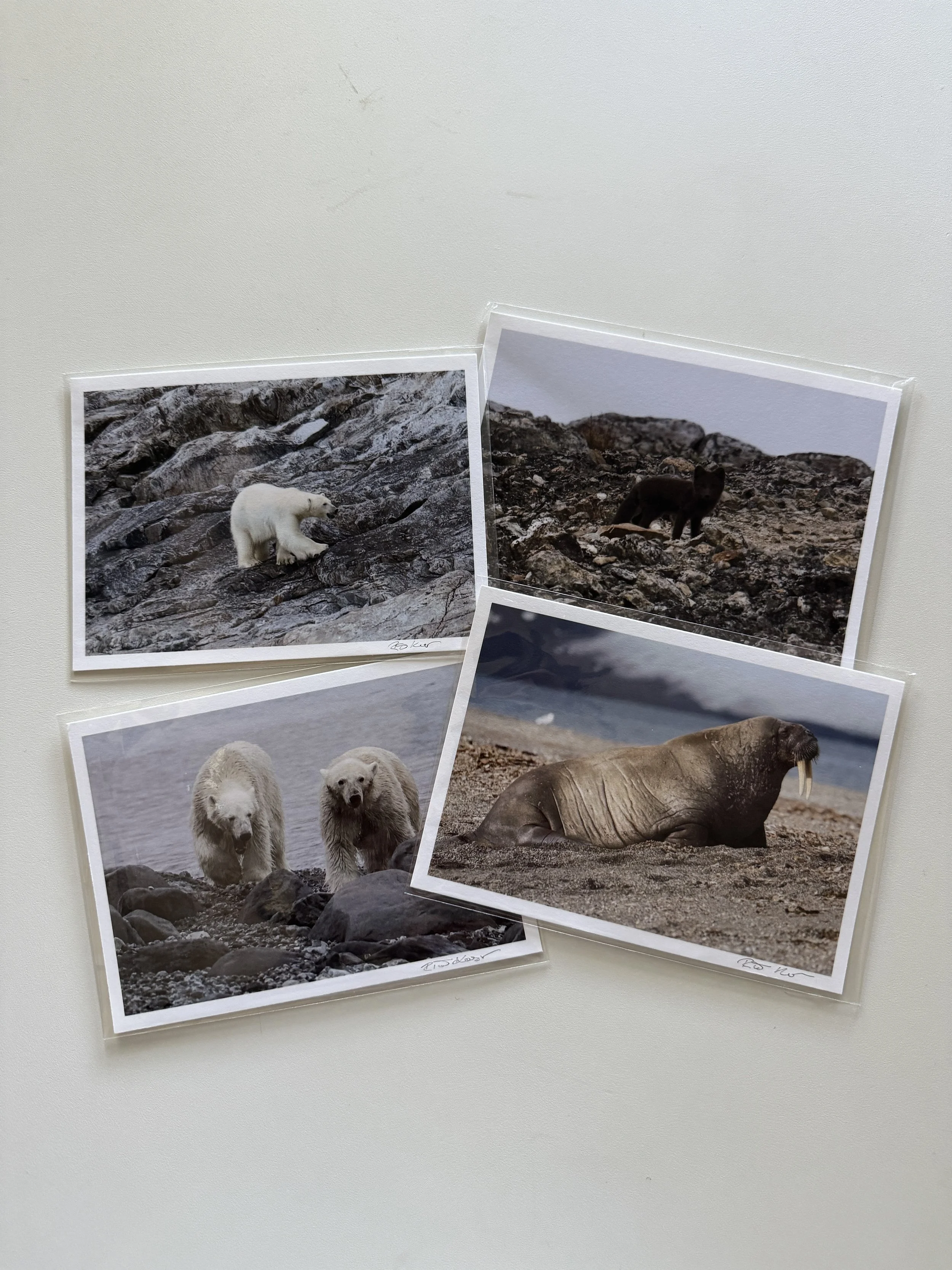 The Set of Four | 5×7" archival fine art prints, signed