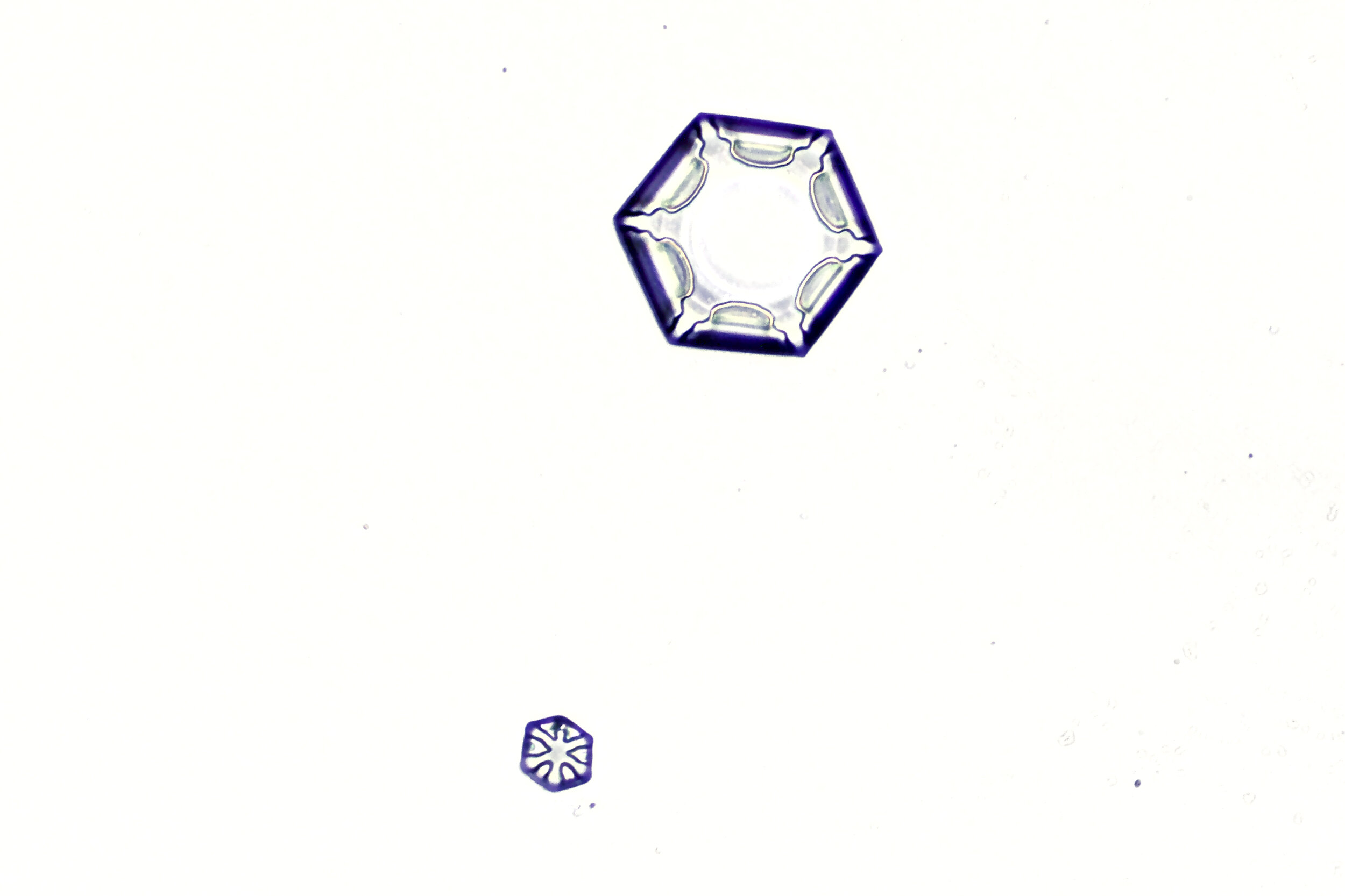 Gary-Mawe-Hexagonal-Plate-Snowflake-06.jpg