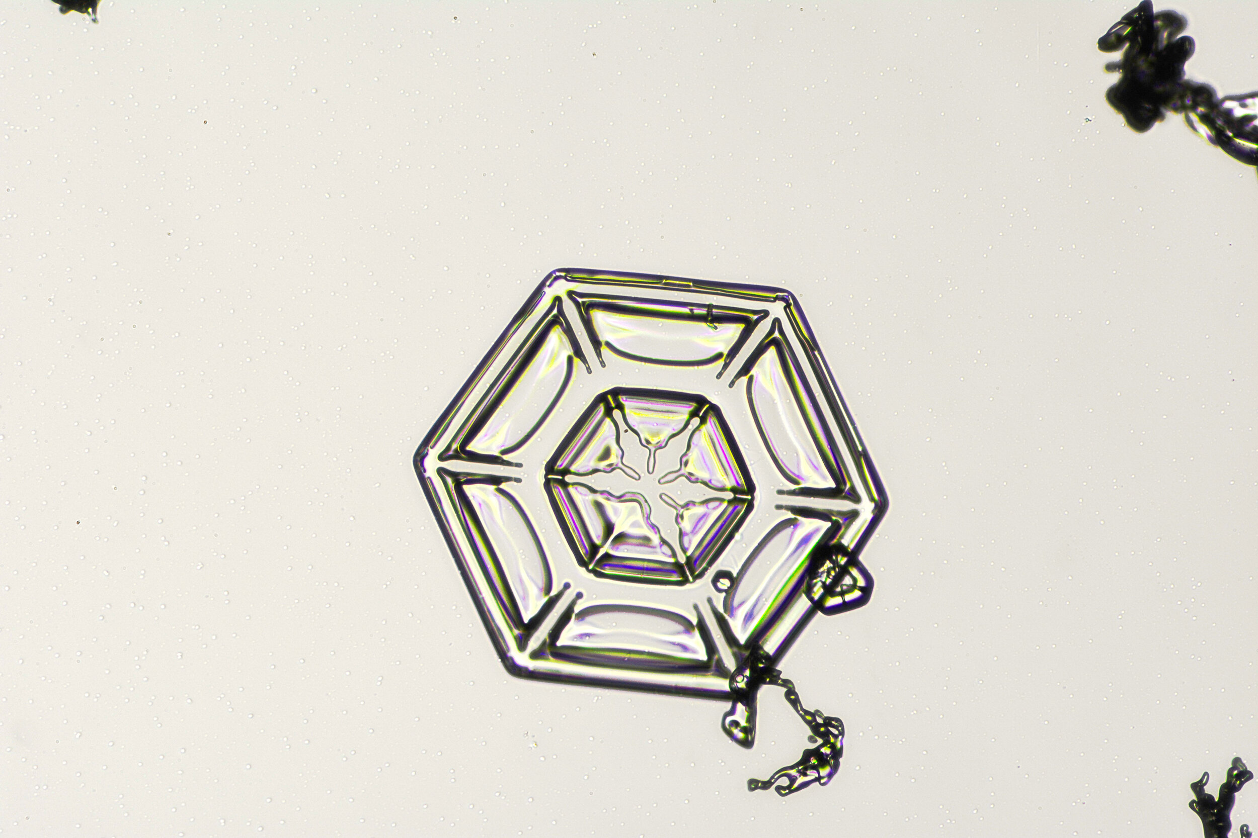Gary-Mawe-Hexagonal-Plate-Snowflake-10.jpg