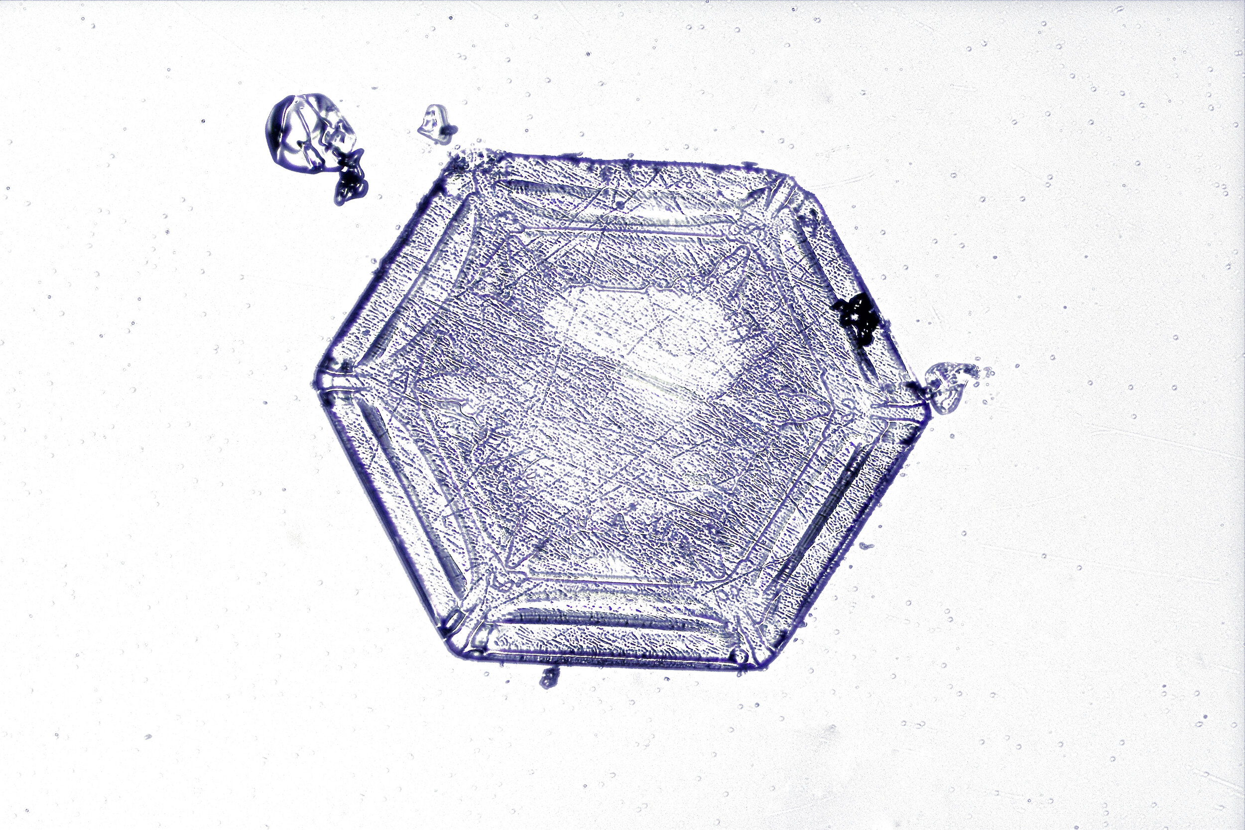 Gary-Mawe-Hexagonal-Plate-Snowflake-11.jpg