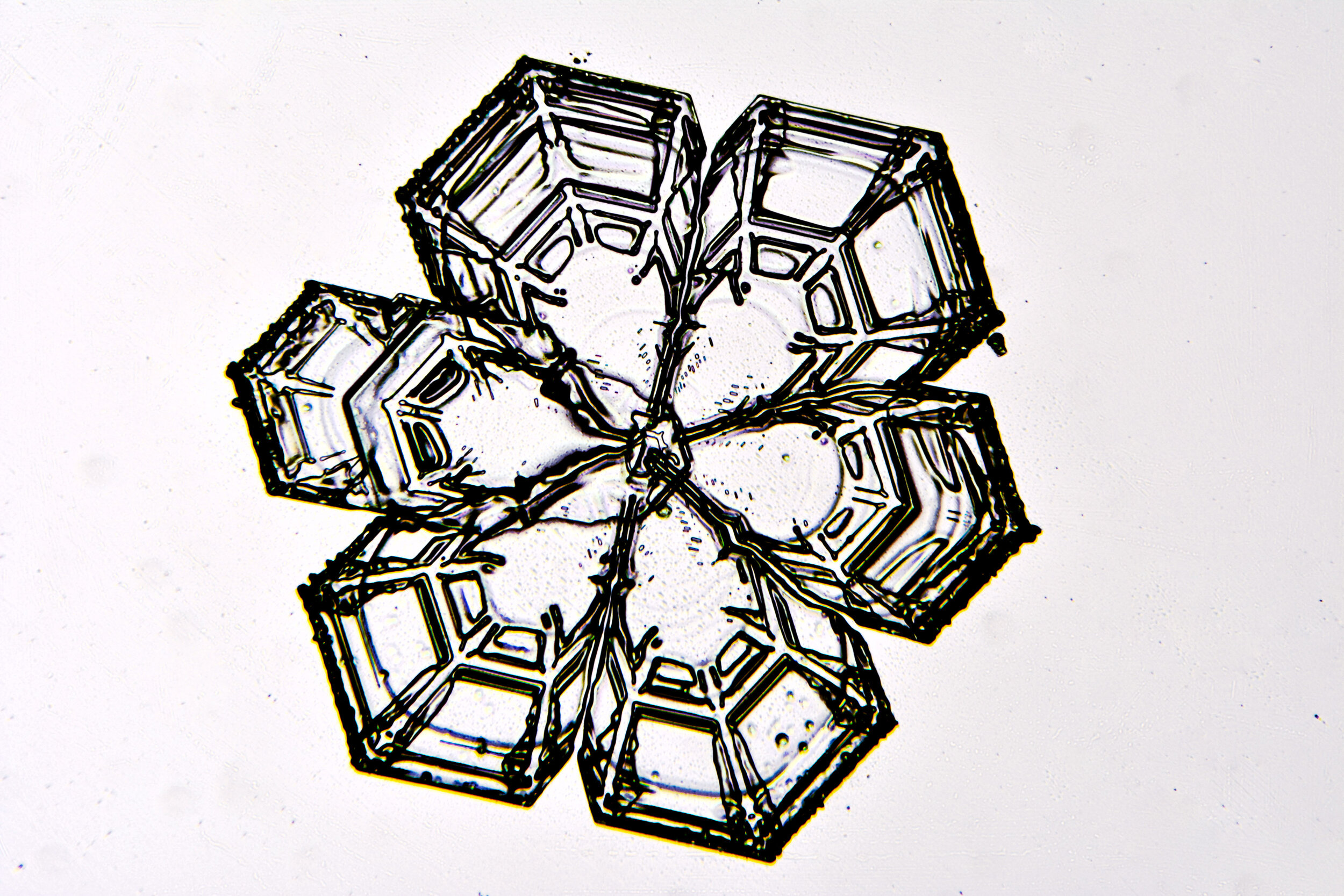Gary-Mawe-Stellar-Plate-Snowflake-02.jpg