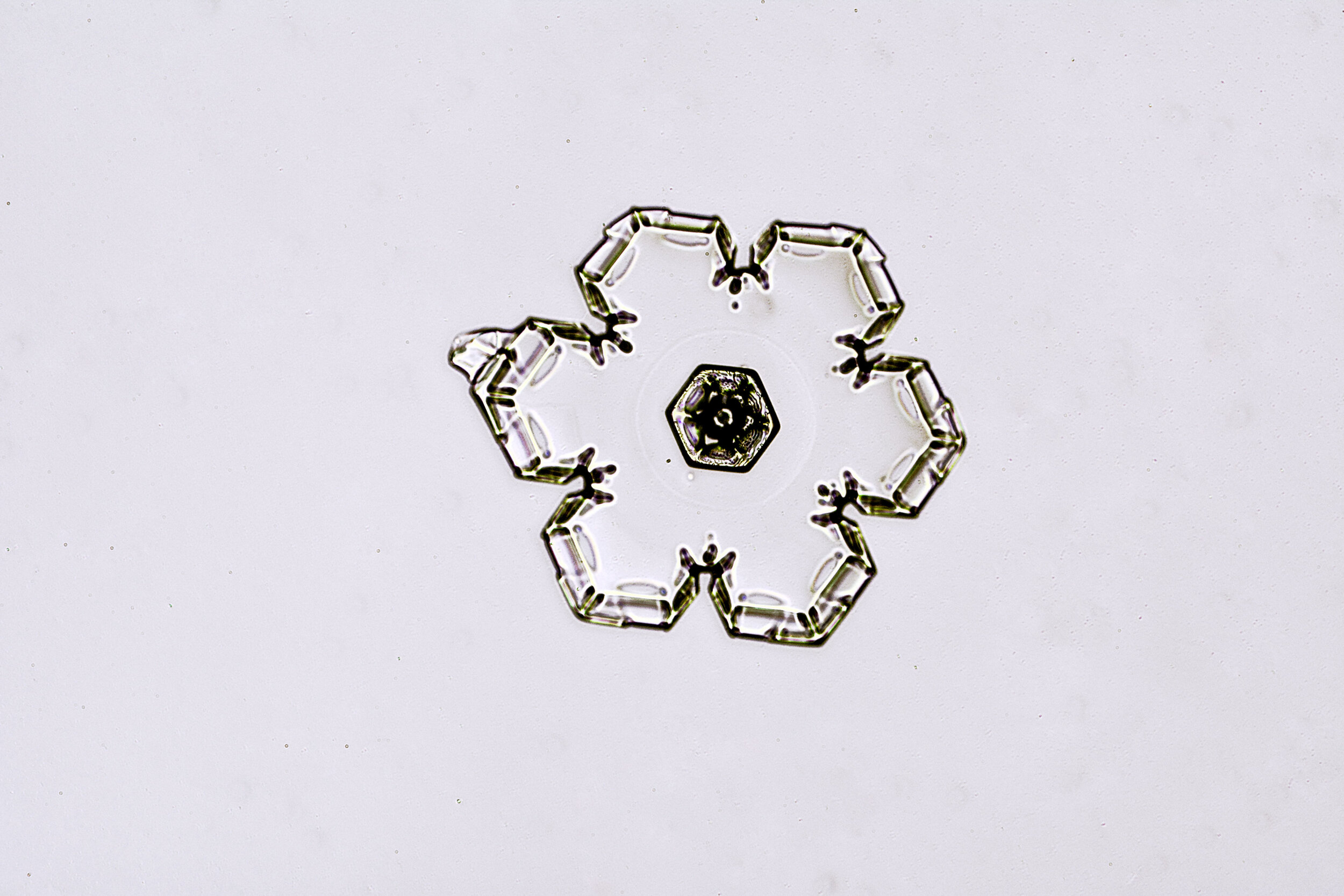 Gary-Mawe-Stellar-Plate-Snowflake-09.jpg