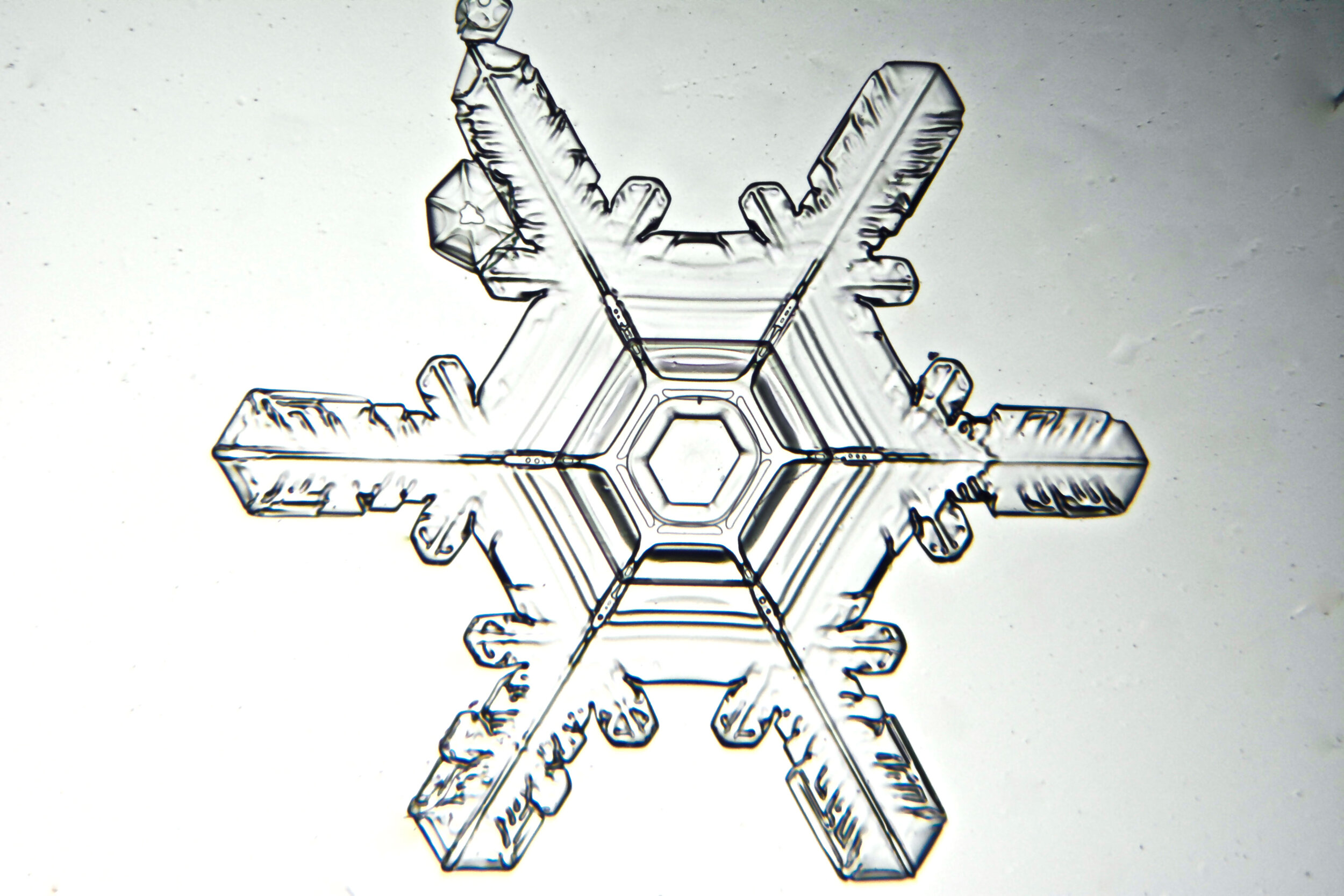 Gary-Mawe-Stellar-Plate-Snowflake-08.jpg