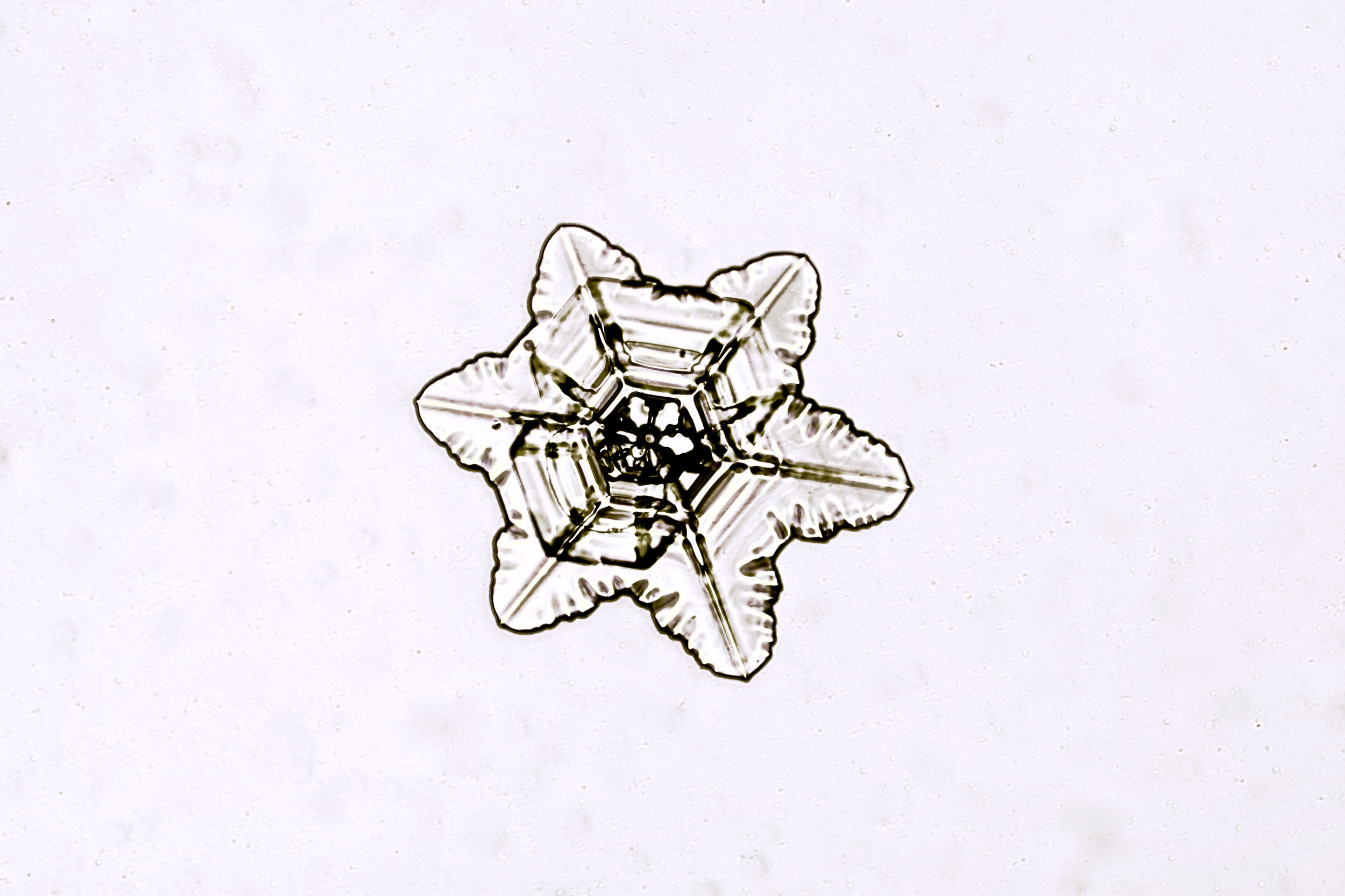 Gary-Mawe-Stellar-Plate-Snowflake-10.jpg