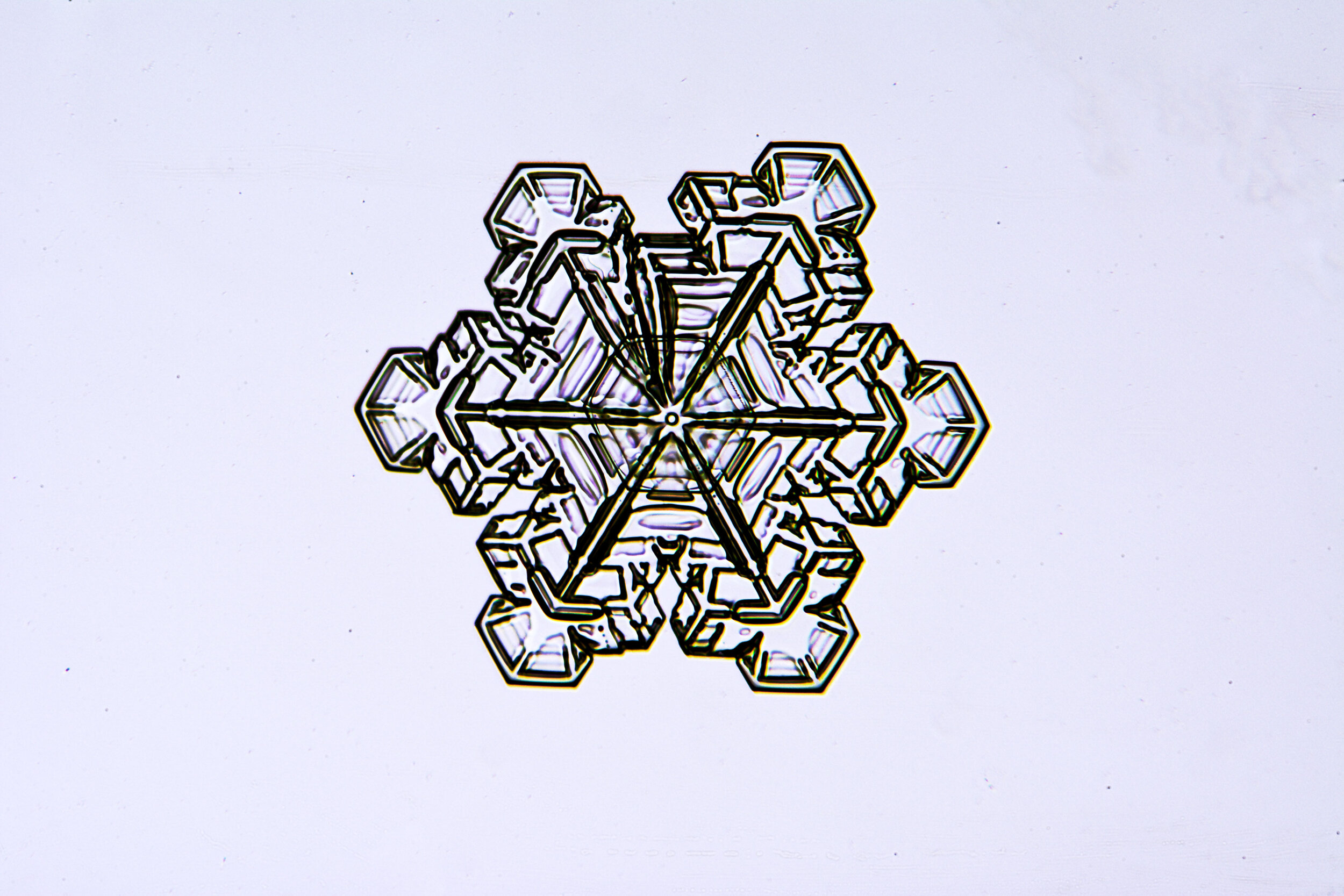 Gary-Mawe-Stellar-Plate-Snowflake-11.jpg