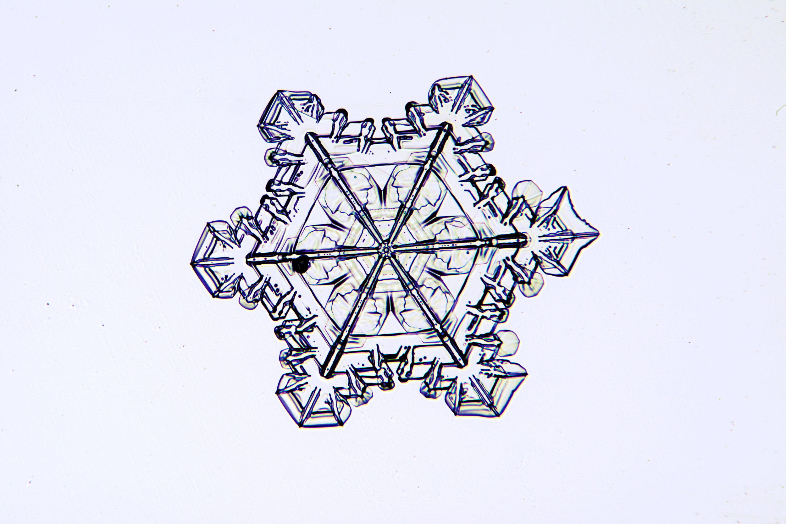 Gary-Mawe-Stellar-Plate-Snowflake-12.jpg