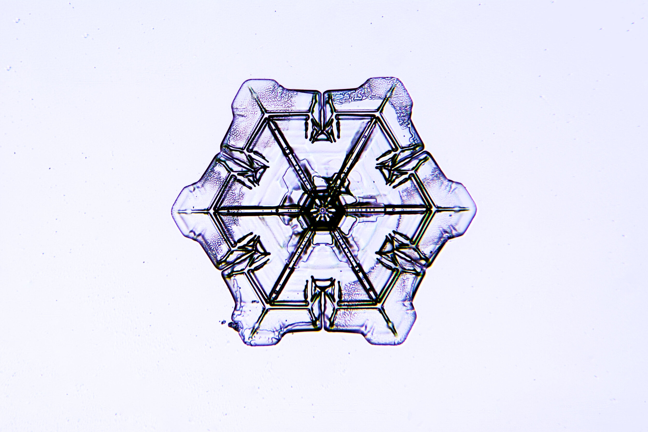 Gary-Mawe-Stellar-Plate-Snowflake-13.jpg