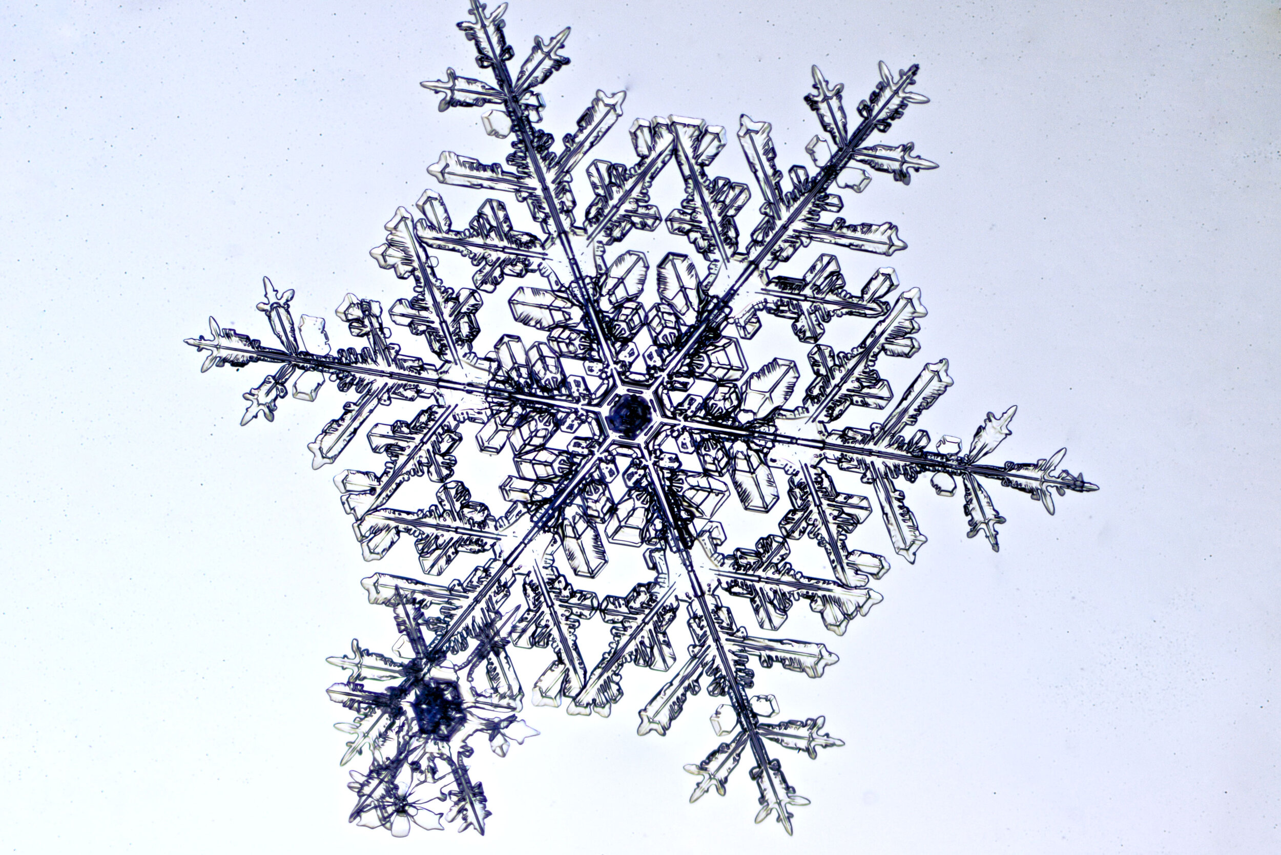 Gary-Mawe-Stellar-Crystal-Snowflake-02.jpg