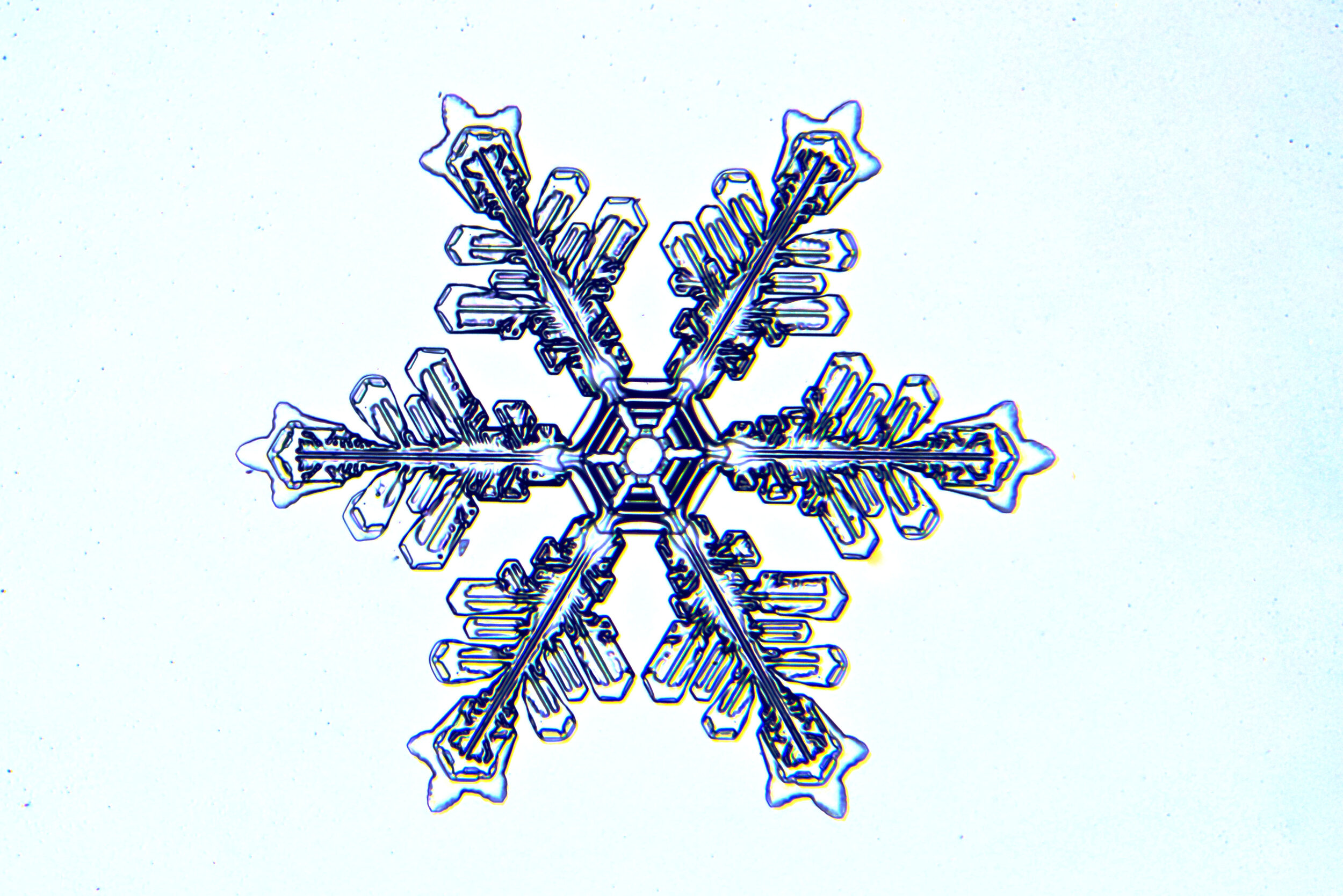 Gary-Mawe-Stellar-Crystal-Snowflake-04.jpg