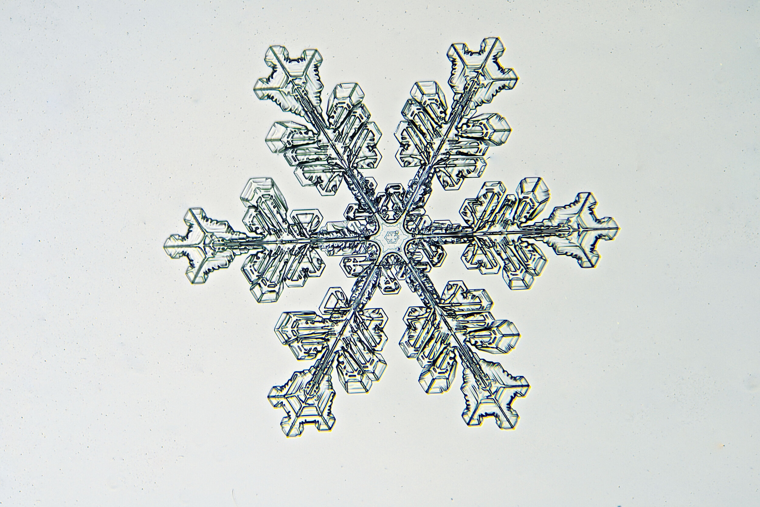 Gary-Mawe-Stellar-Crystal-Snowflake-05.jpg