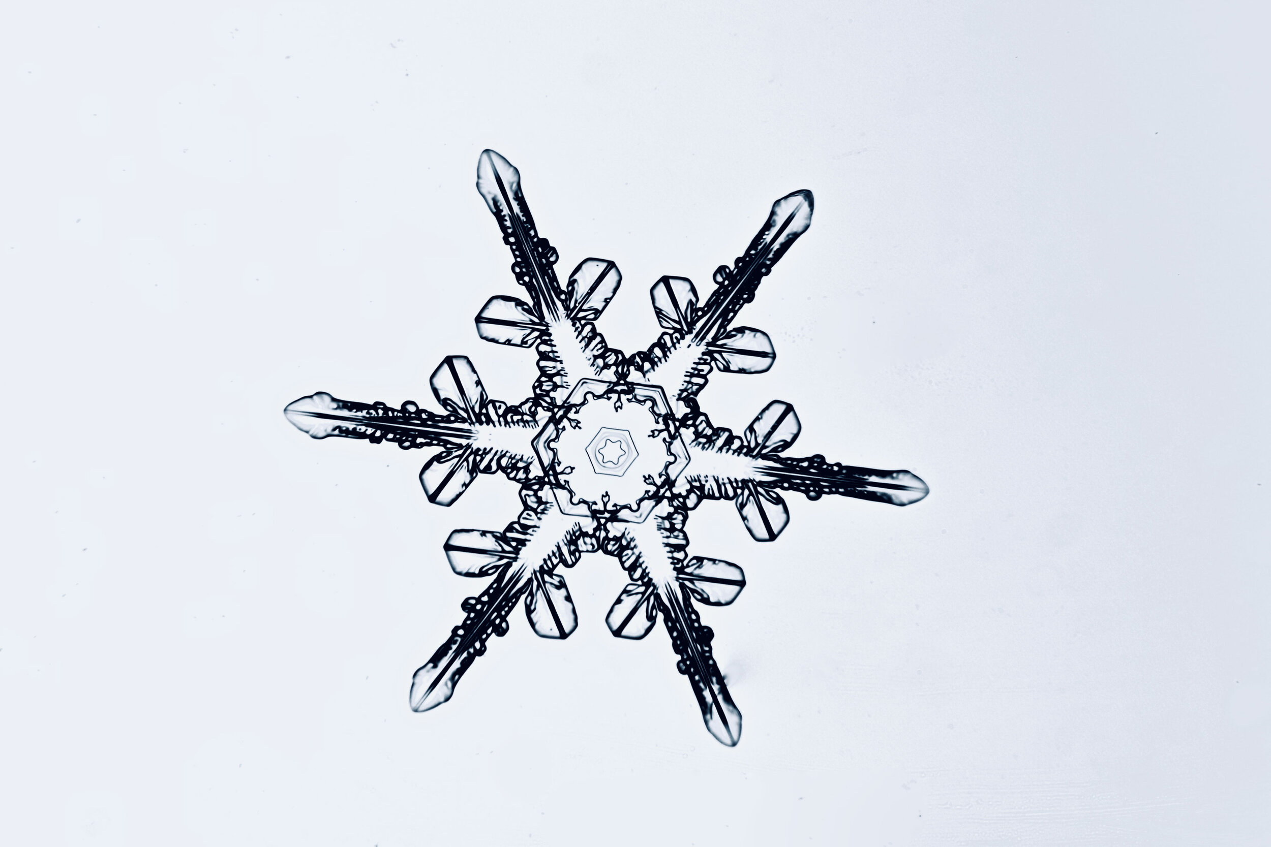Gary-Mawe-Stellar-Crystal-Snowflake-07.jpg